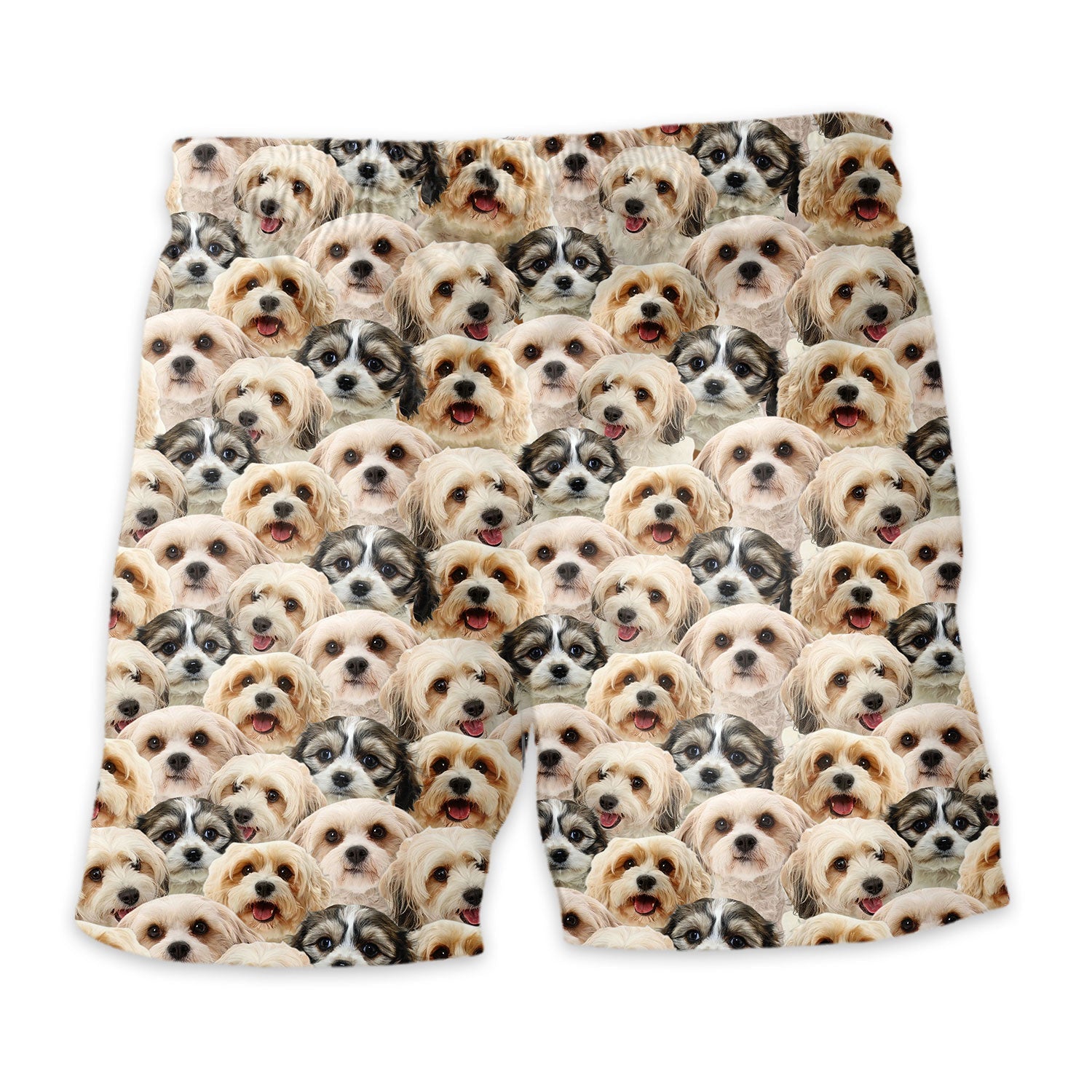 Cavachon Dog Full Face Hawaiian Shirt & Short