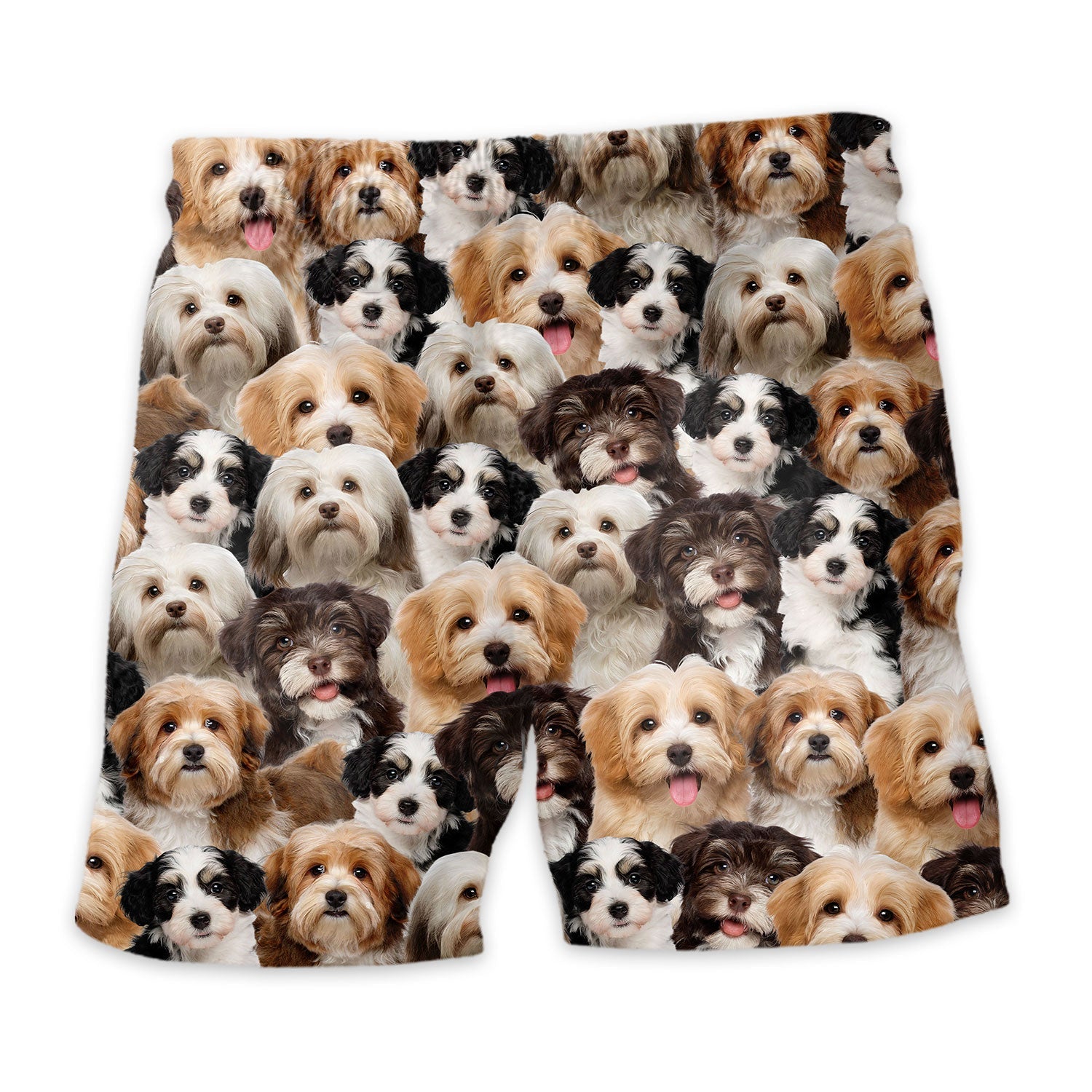 Havanese Full Face Hawaiian Shirt & Short
