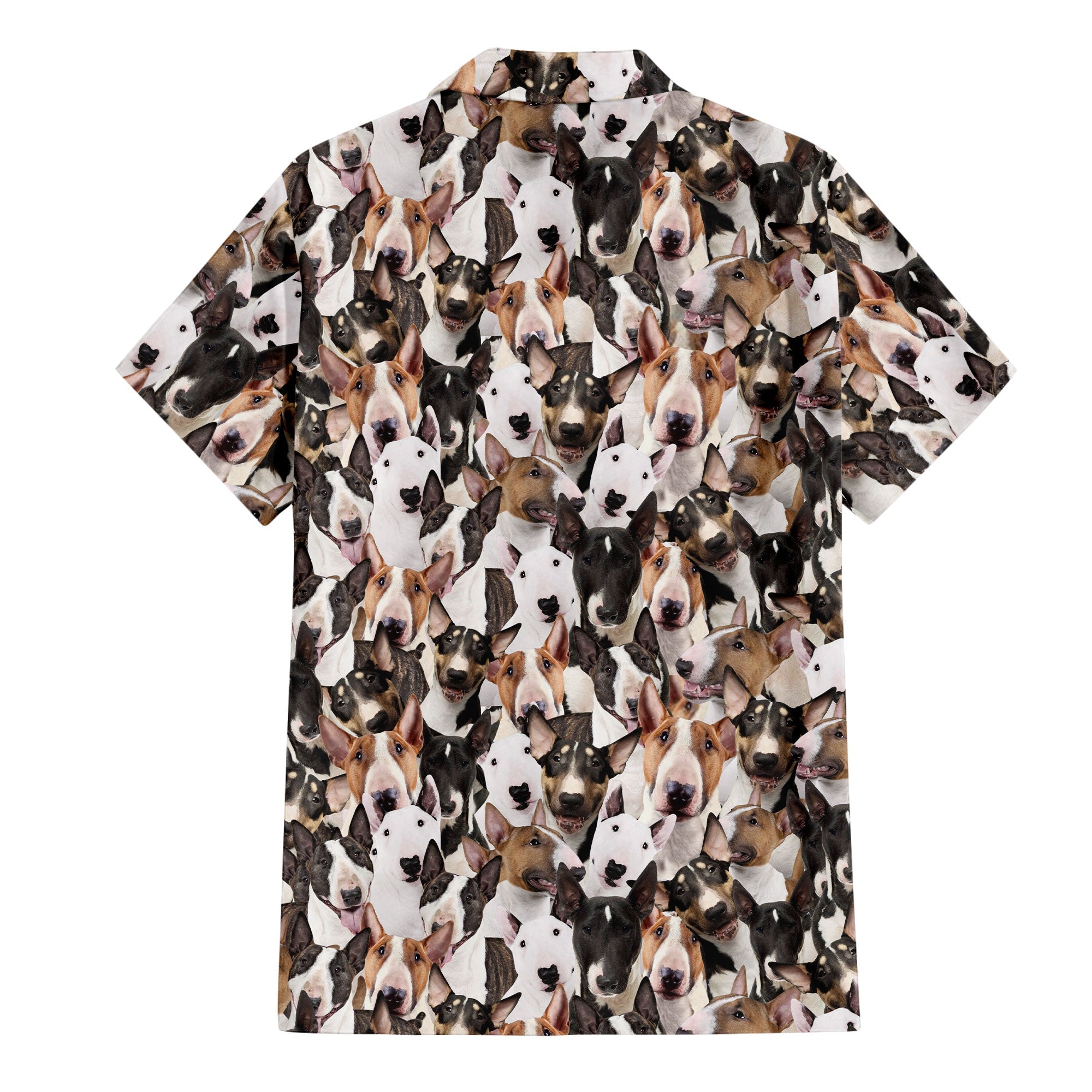 Bull Terrier Full Face Hawaiian Shirt & Short