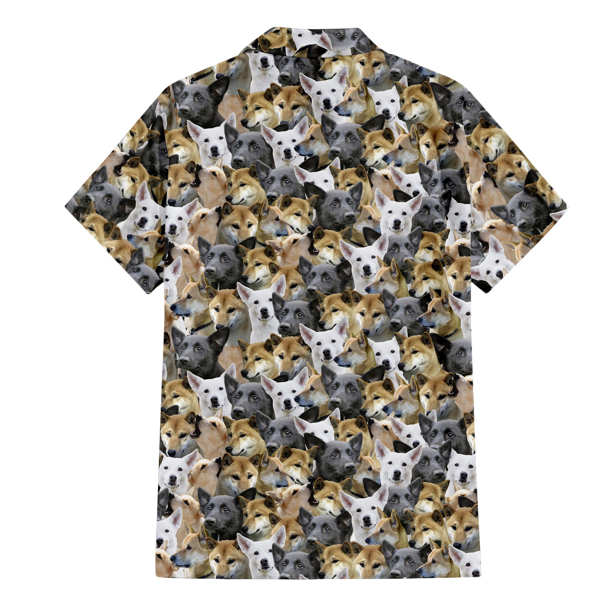 Canaan Dog Full Face Hawaiian Shirt & Short