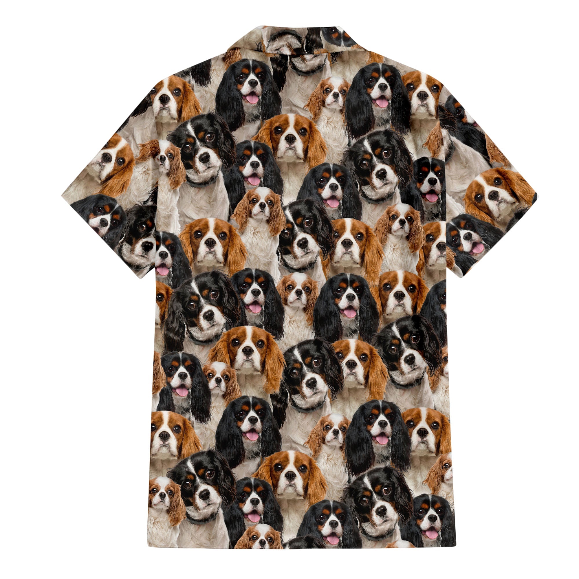 Cavalier King Charles Spaniel Full Face Hawaiian Shirt & Short
