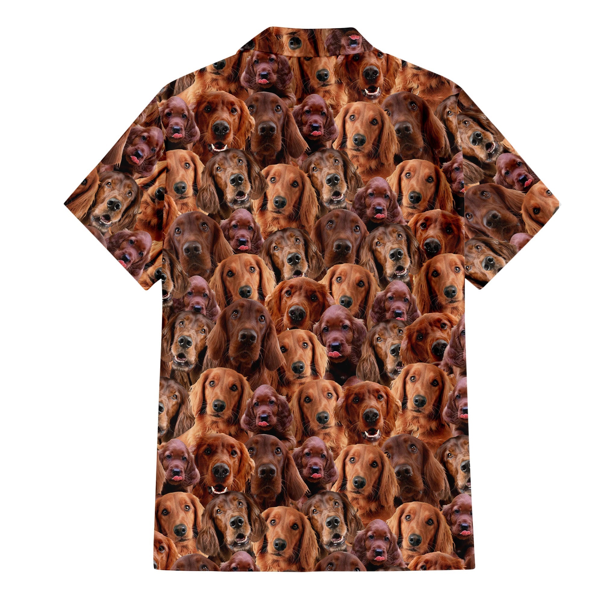 Irish Setter Full Face Hawaiian Shirt & Short