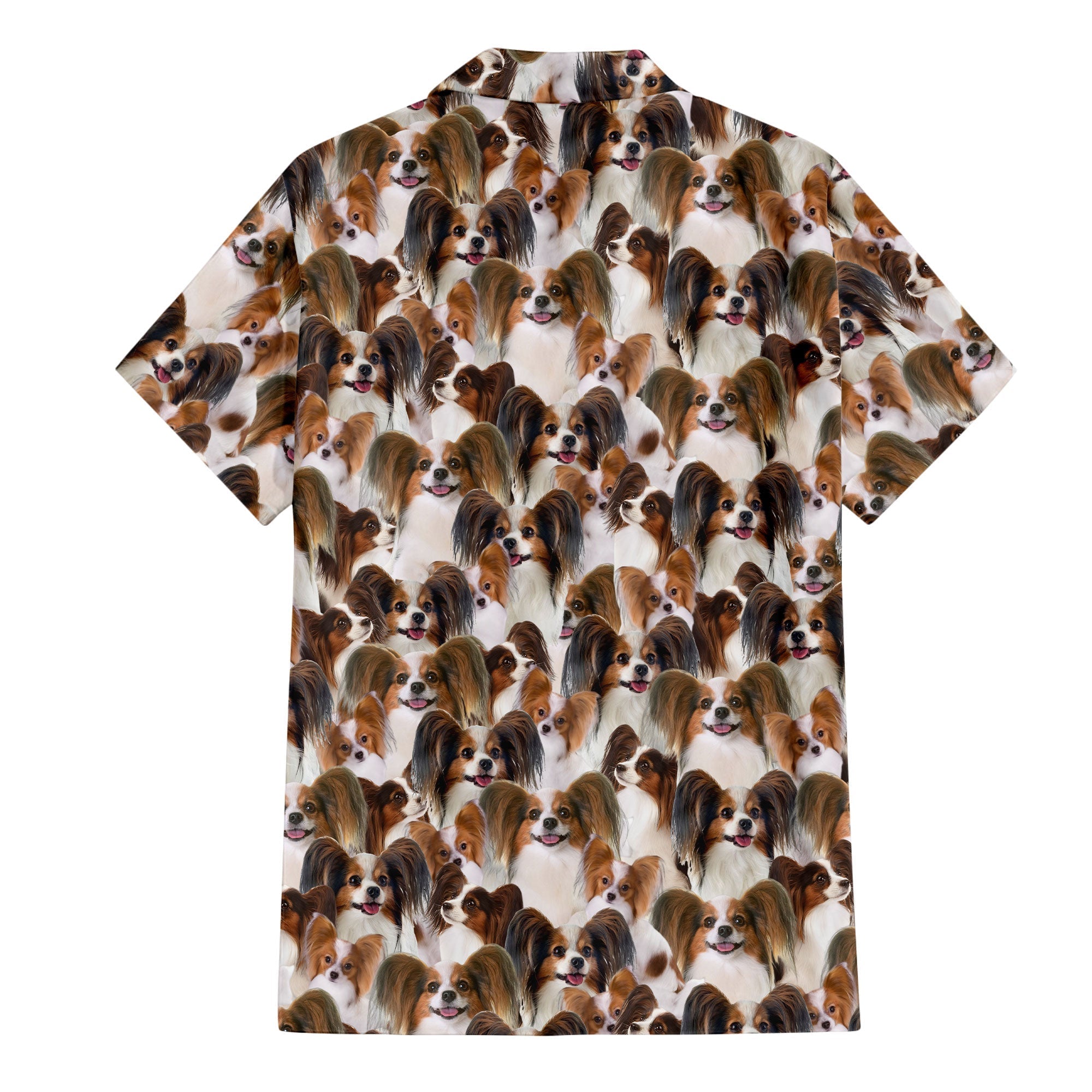 Papillon 1 Full Face Hawaiian Shirt & Short