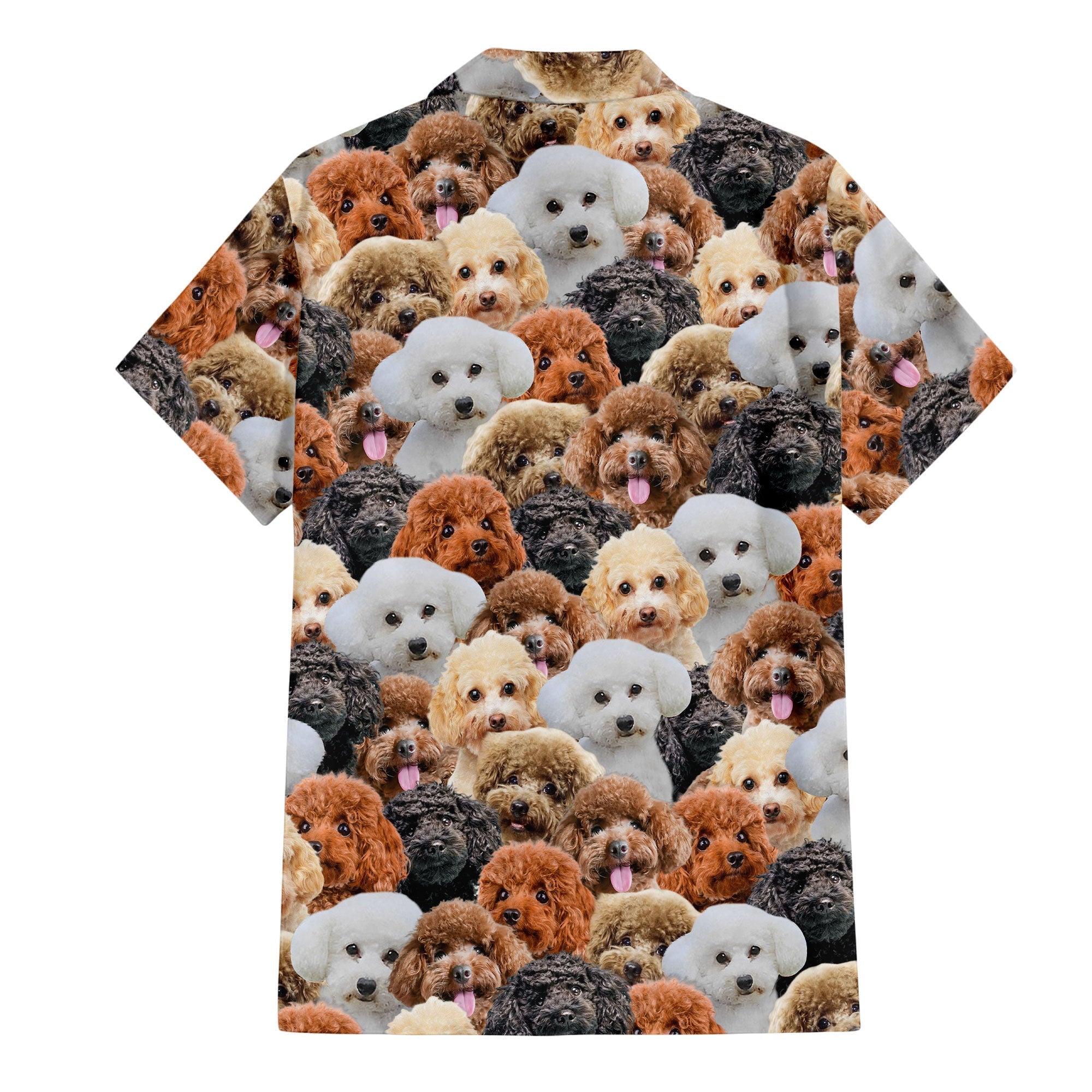 Poodle Full Face Hawaiian Shirt & Short