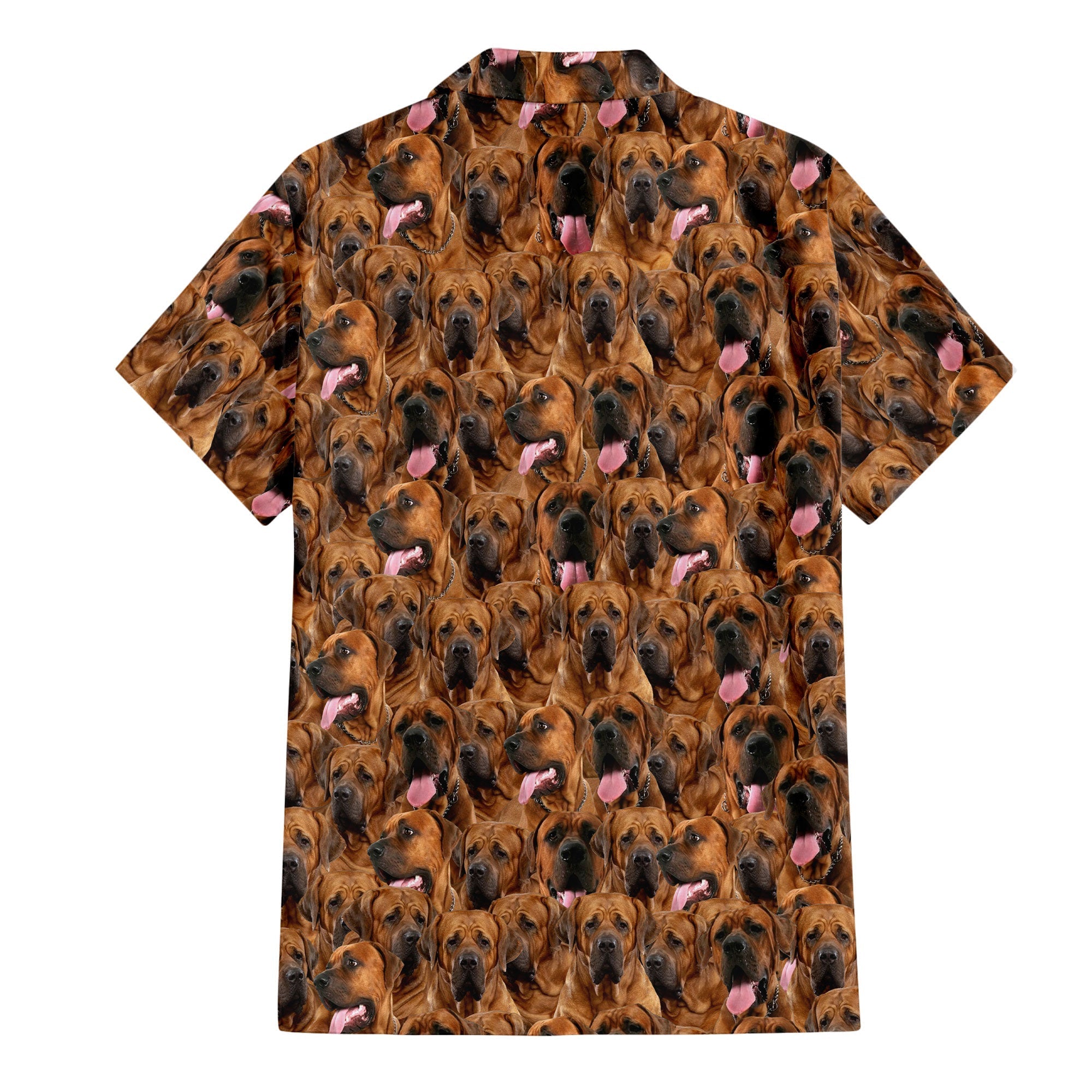 Tosa Full Face Hawaiian Shirt & Short