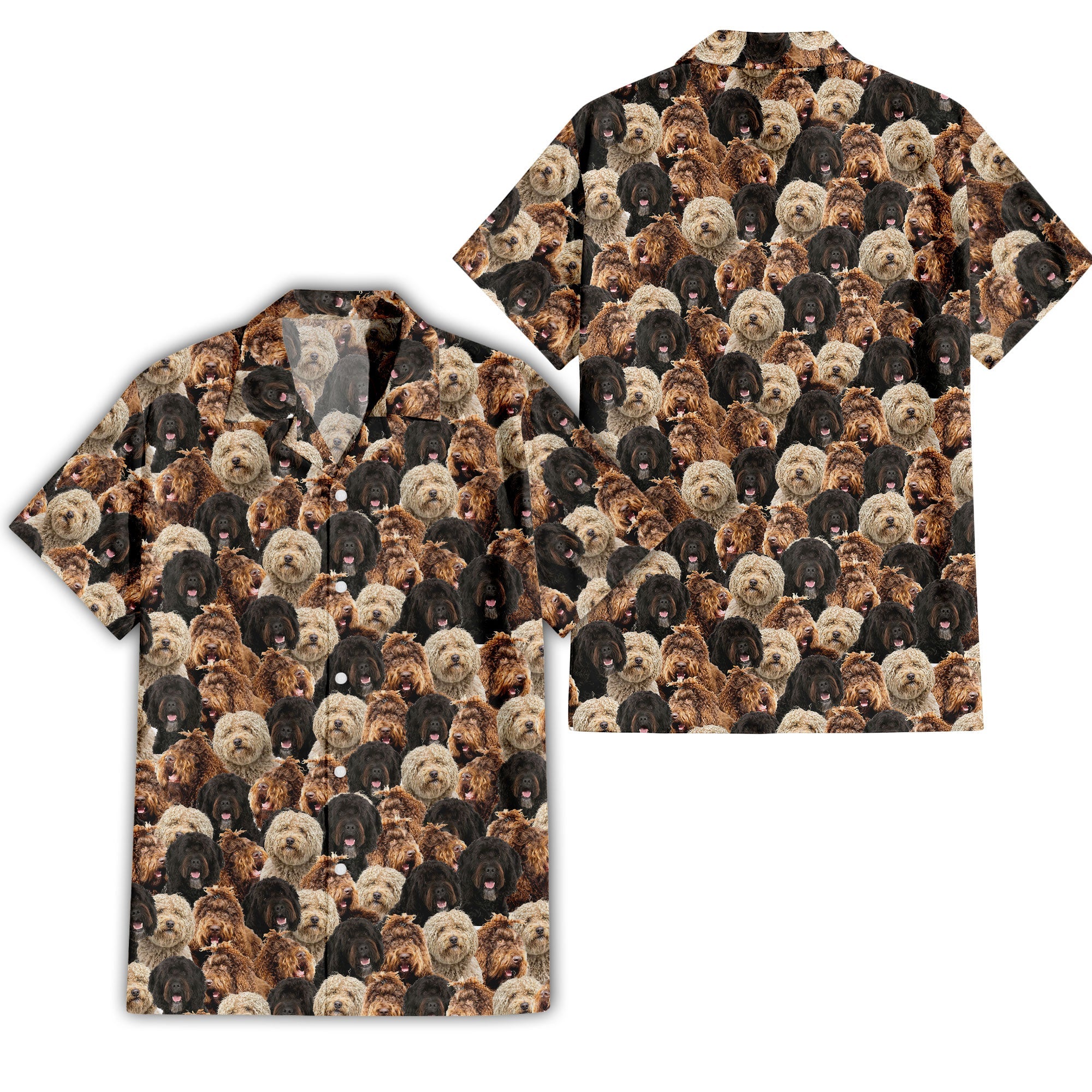 Barbet-2 Full Face Hawaiian Shirt & Short