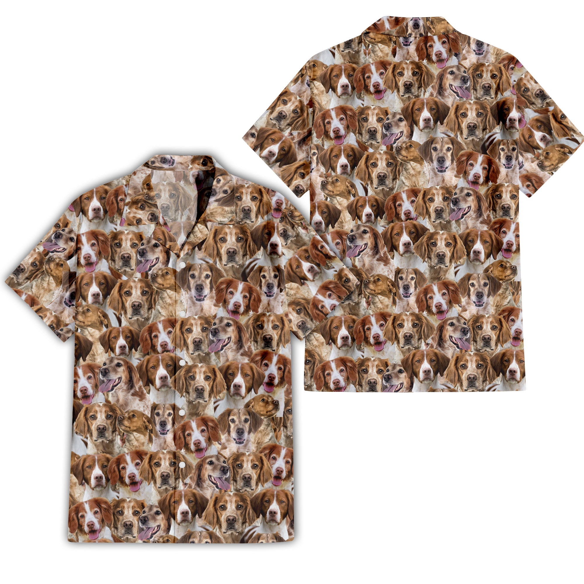 Brittany Full Face Hawaiian Shirt & Short