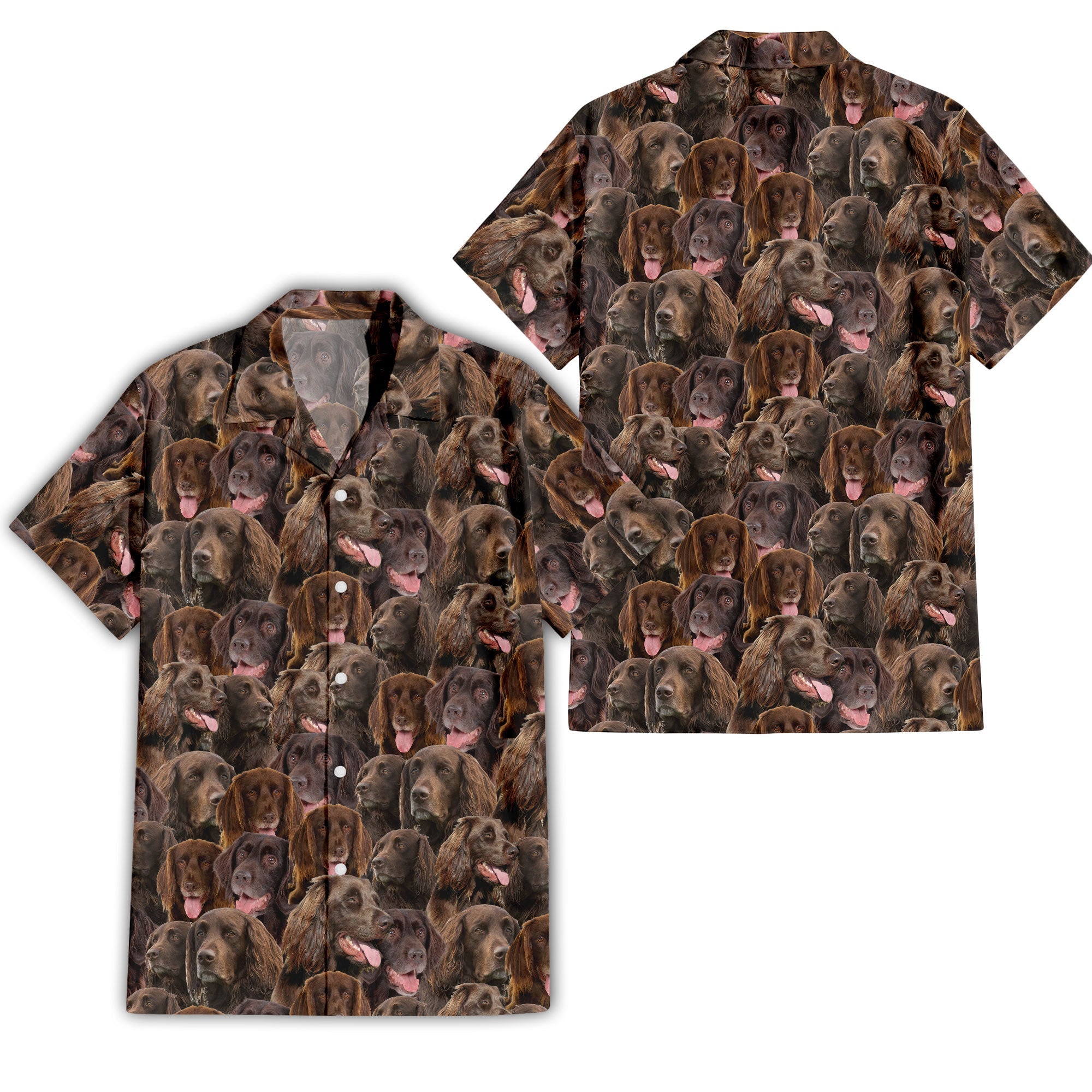 German Longhaired Pointer Full Face Hawaiian Shirt & Short