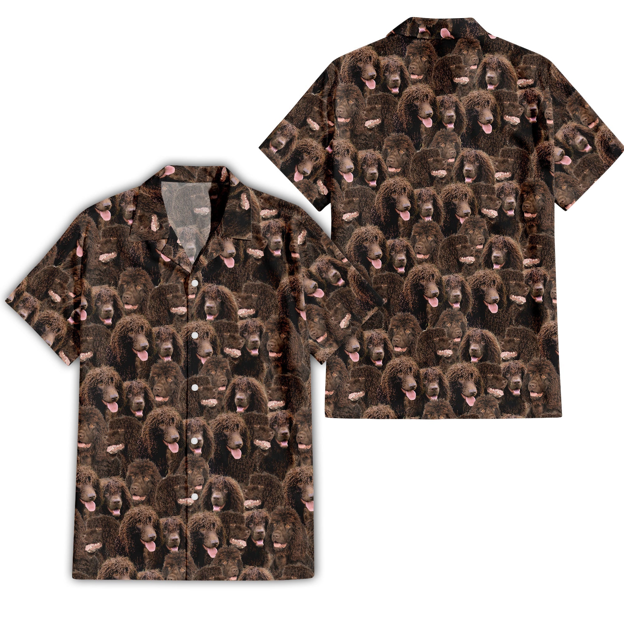 Irish Water Spaniel Full Face Hawaiian Shirt & Short