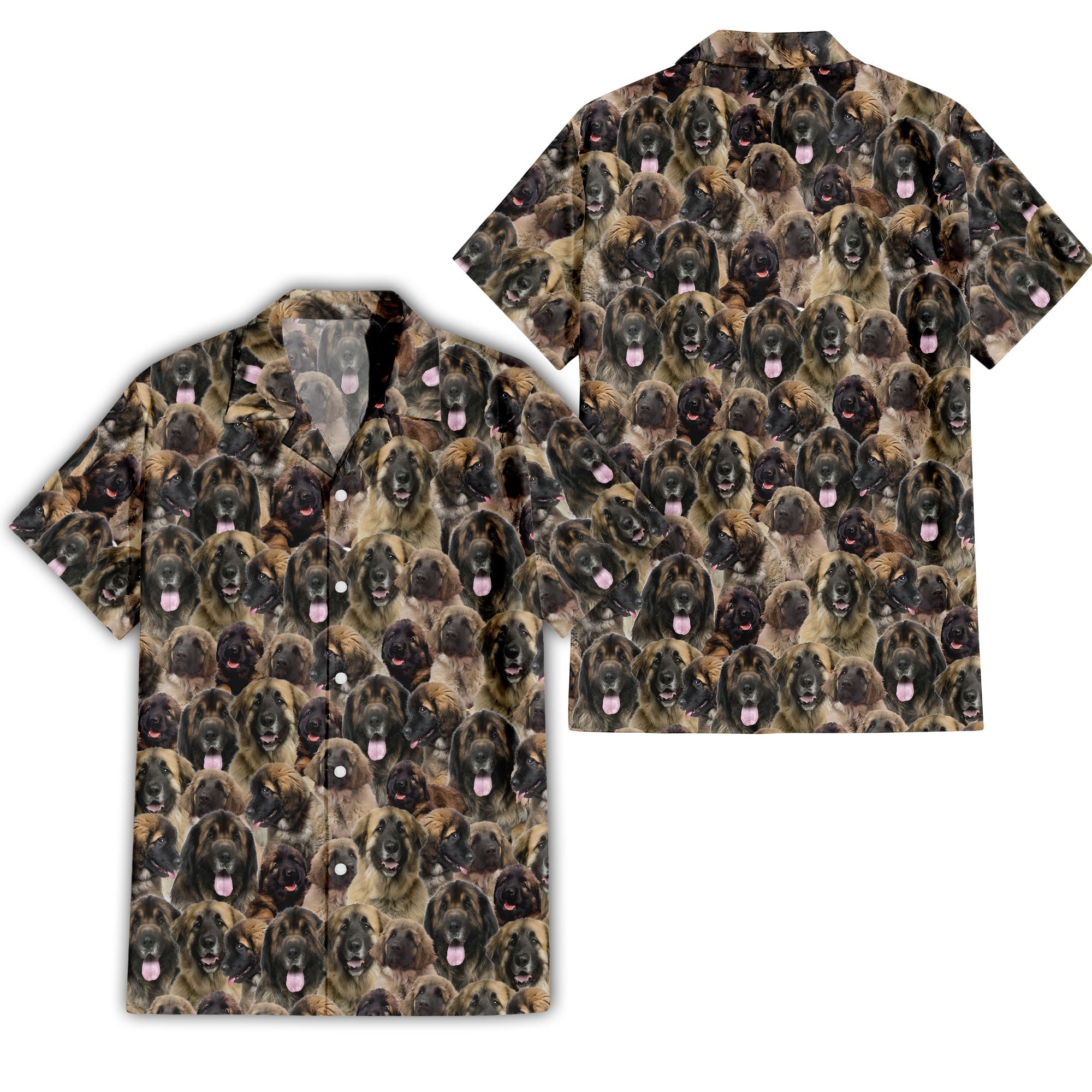 Leonberger Full Face Hawaiian Shirt & Short