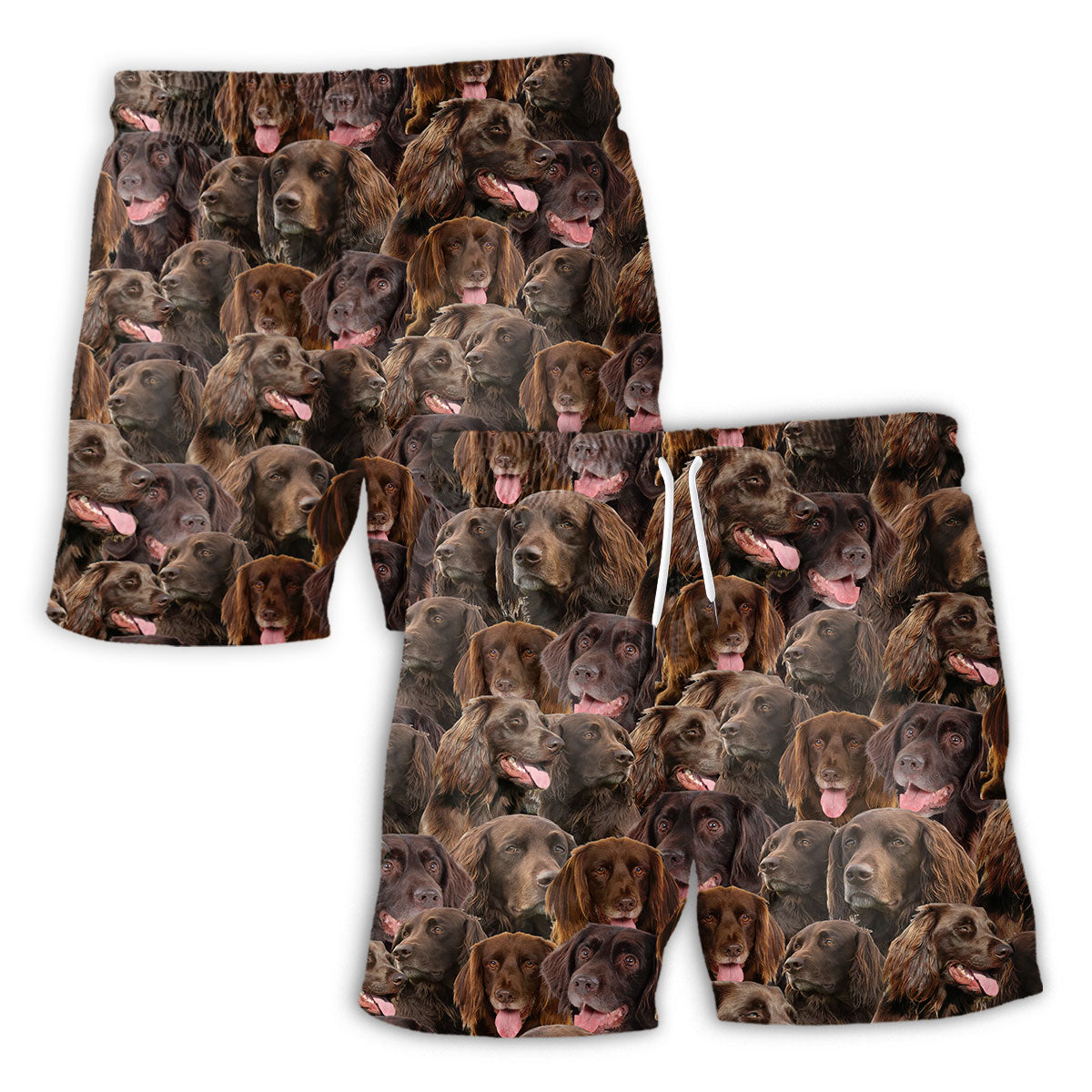 German Longhaired Pointer Full Face Hawaiian Shirt & Short