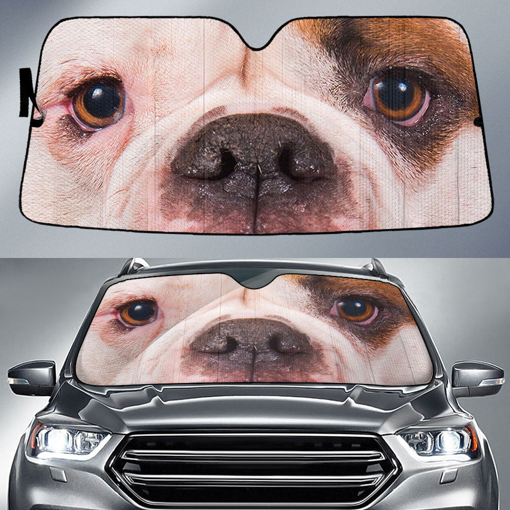 American Bulldog Eyes Car Sun shade 94