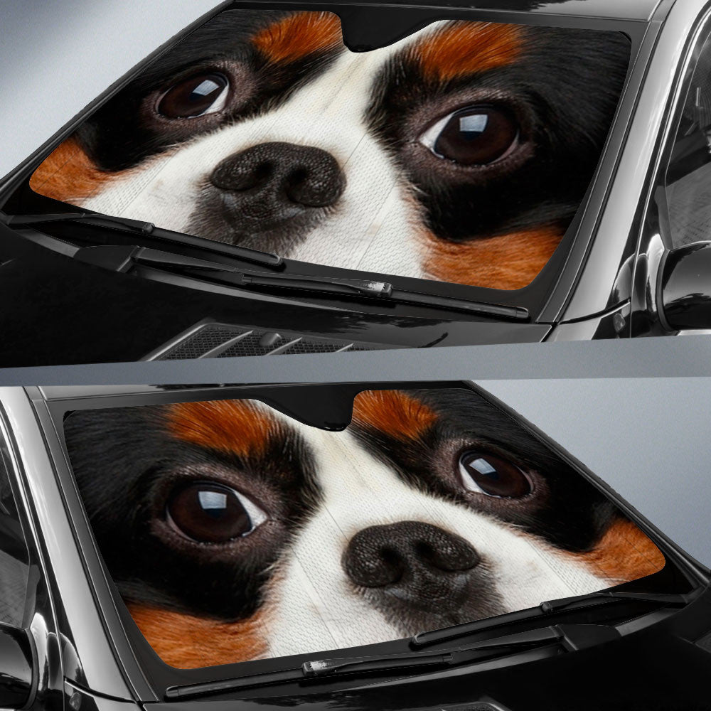 Cavalier King Charles Spaniel Eyes Car Sun Shade 94