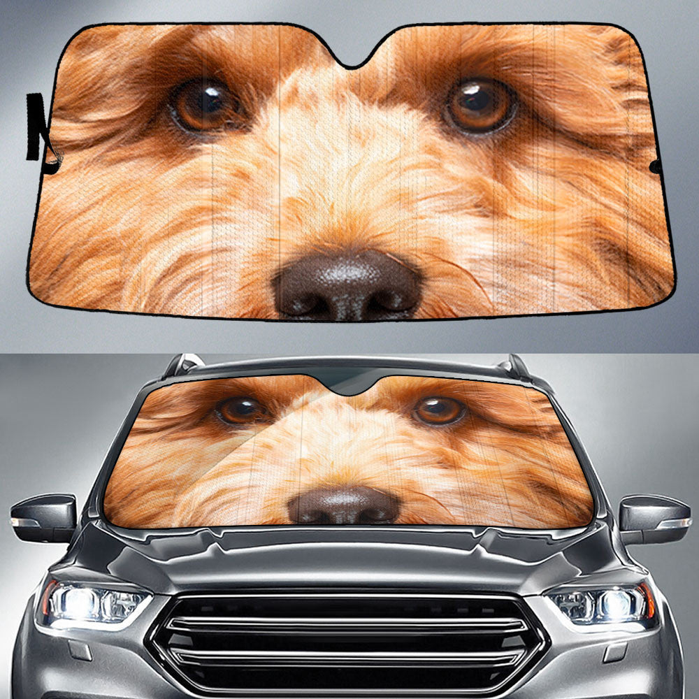 Cavapoo Eyes Car Sun Shade 94