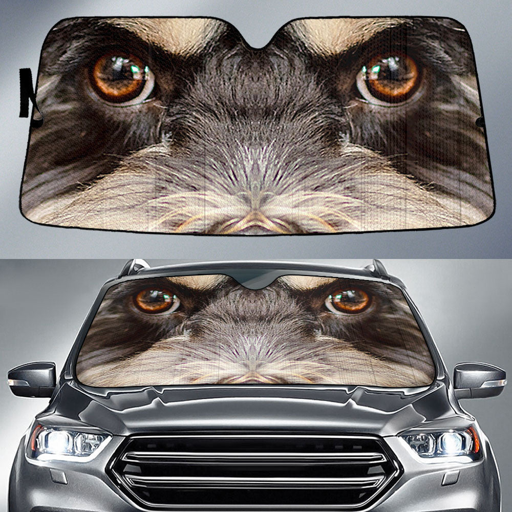Cockapoo Eyes Car Sun Shade 94