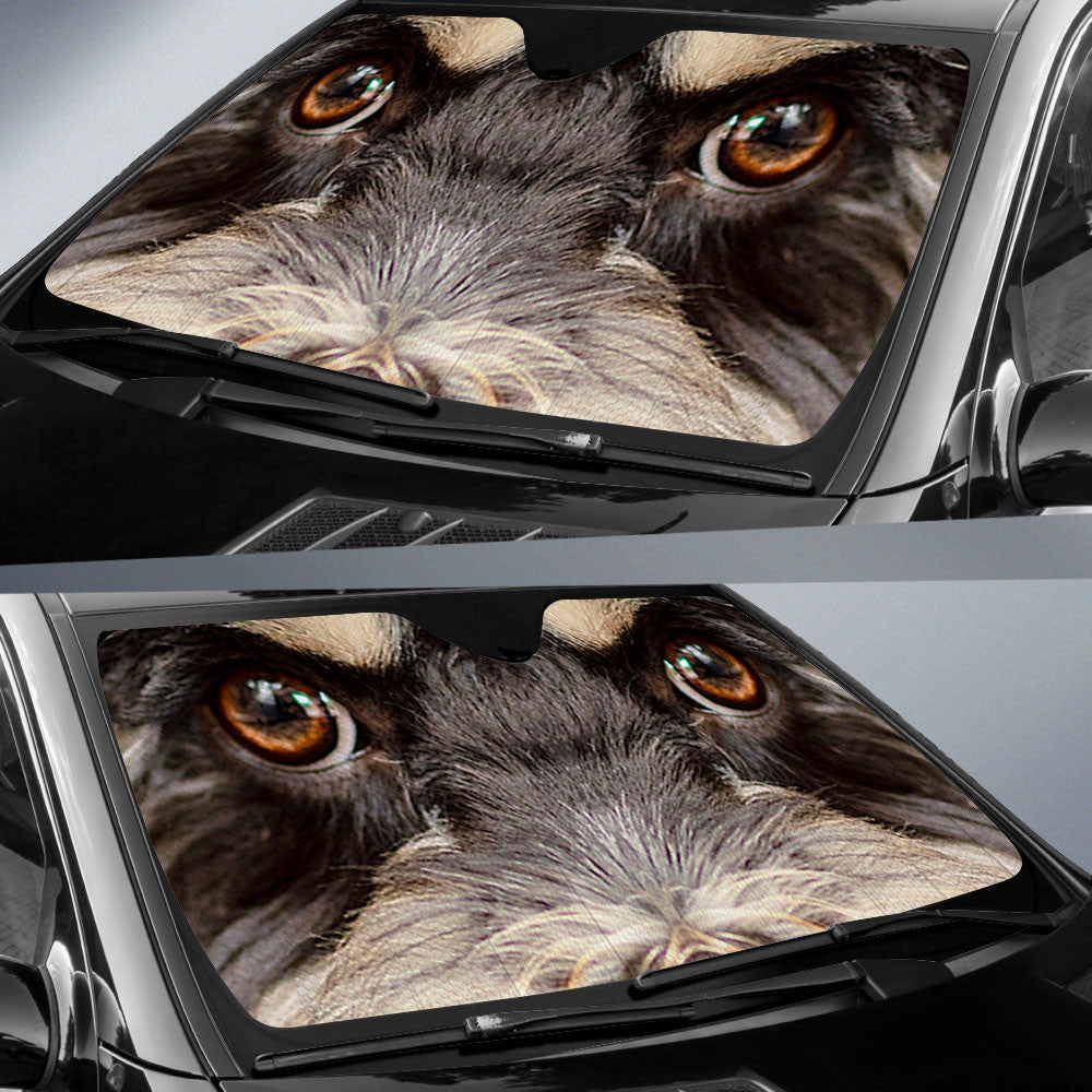 Cockapoo Eyes Car Sun Shade 94