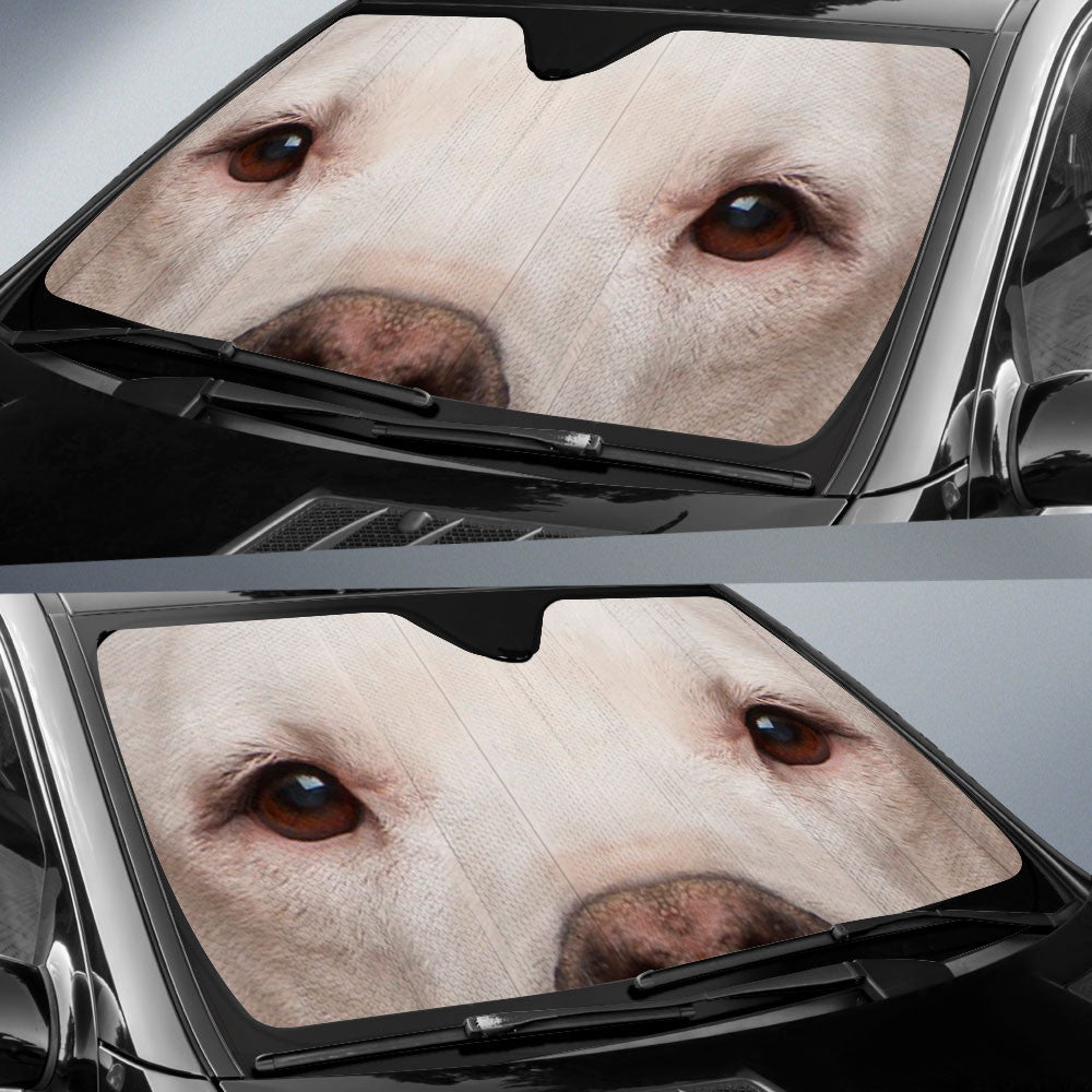 Dogo Argentino Eyes Car Sun Shade 94