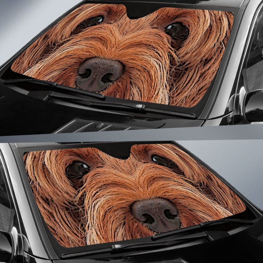 Labradoodle Eyes Car Sun Shade 94
