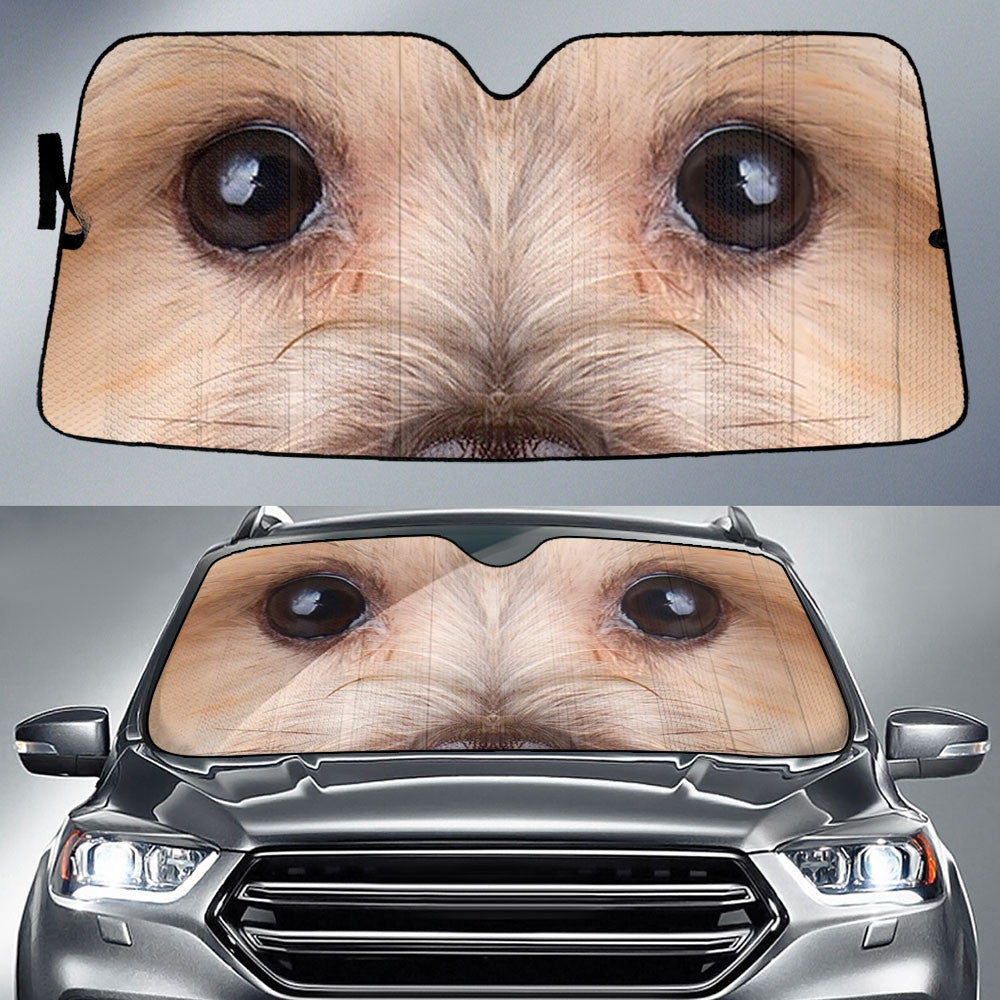 Morkie Eyes Car Sun Shade 94