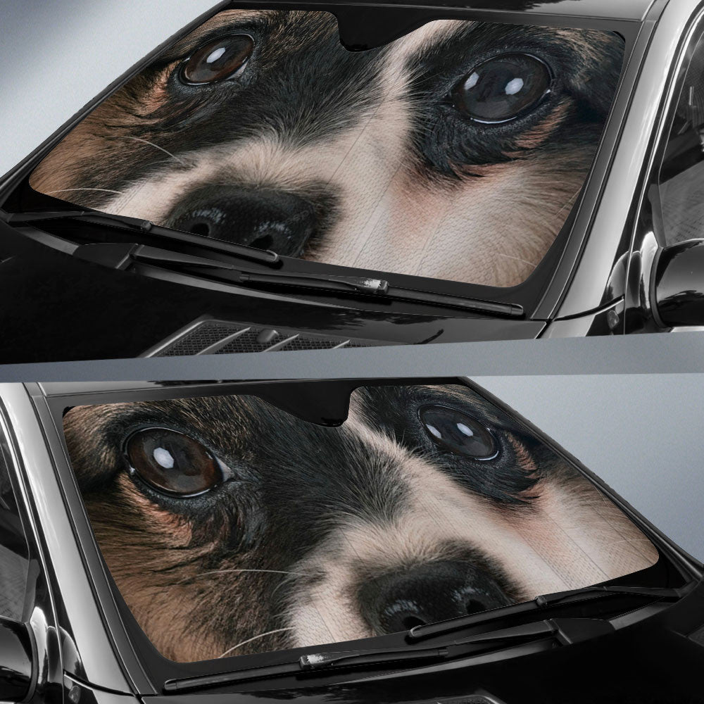 Papillon Eyes Car Sun Shade 94