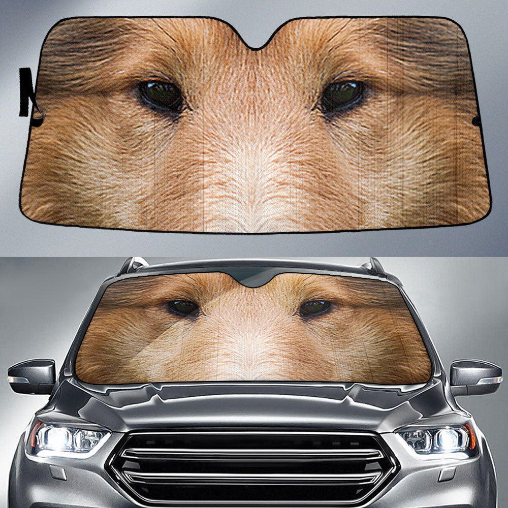 Rough Collie Eyes Car Sun Shade 94