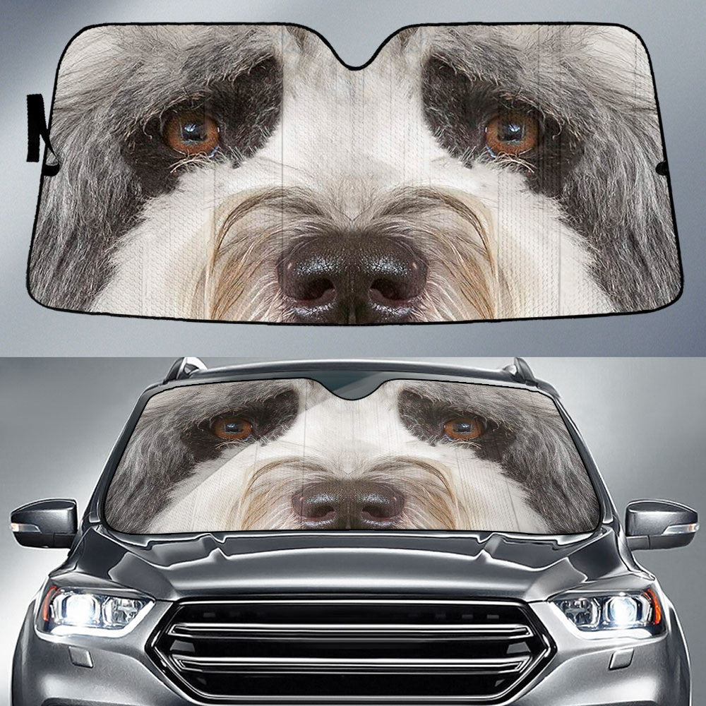 Tibetan Terriers Eyes Car Sun Shade 94