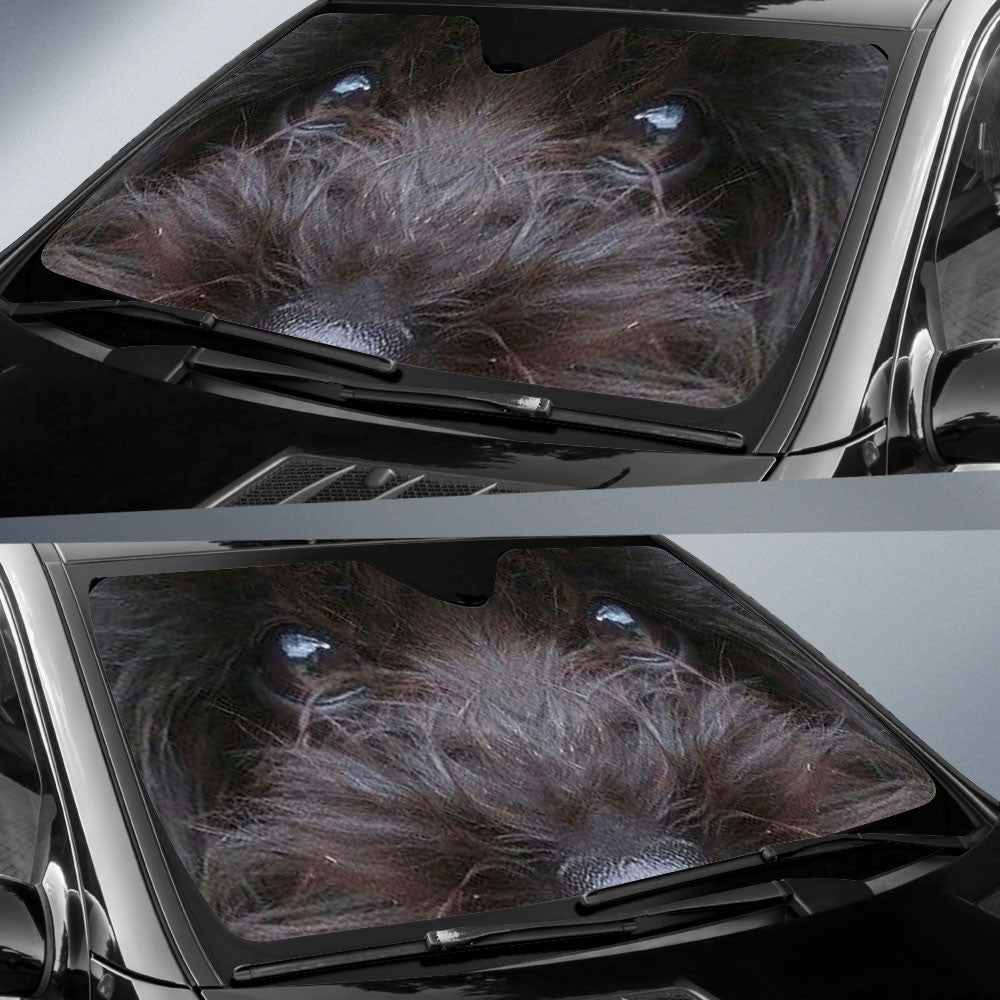 Black Maltipoo Eyes Car Sun Shade 94