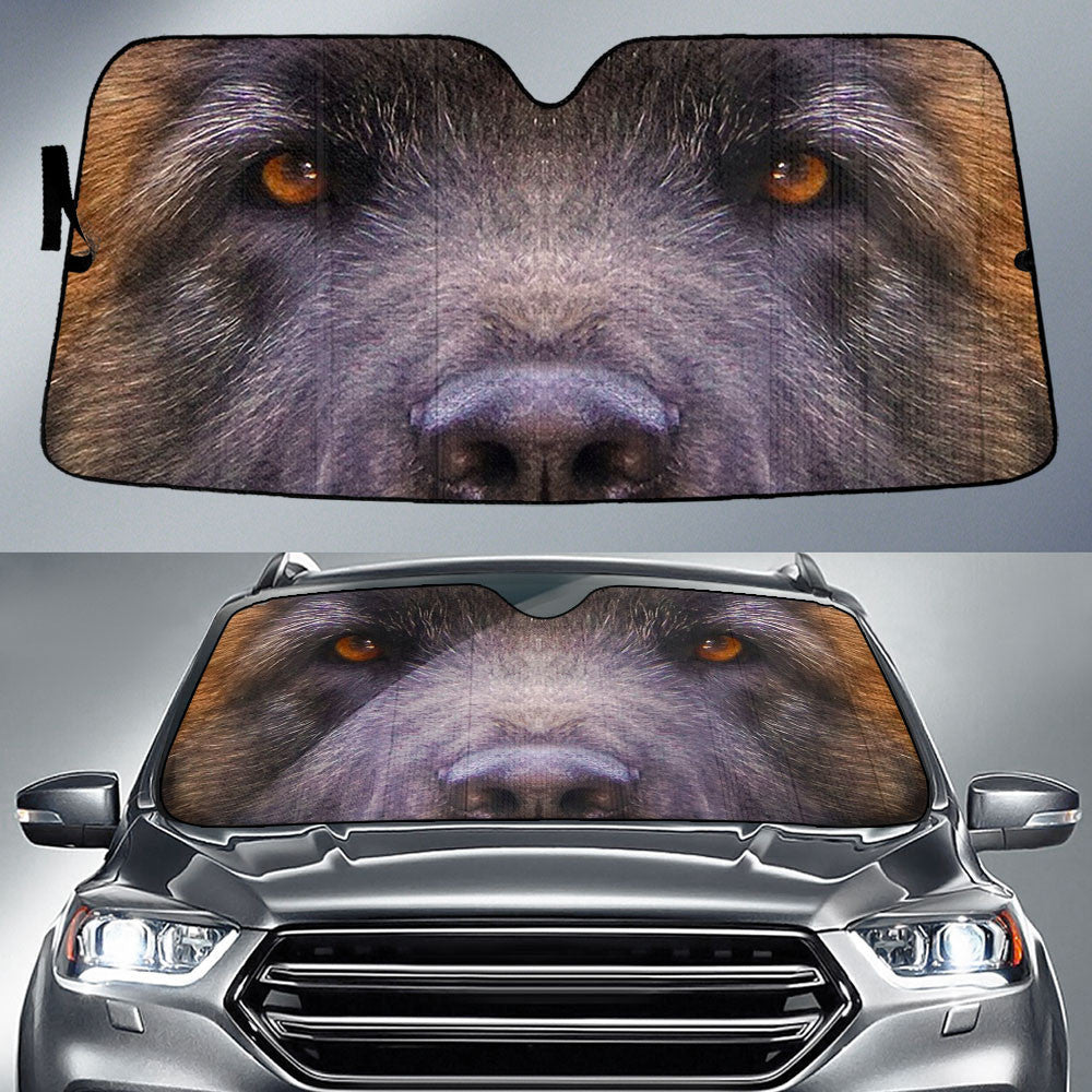 Leonberger Eyes Car Sun Shade 94