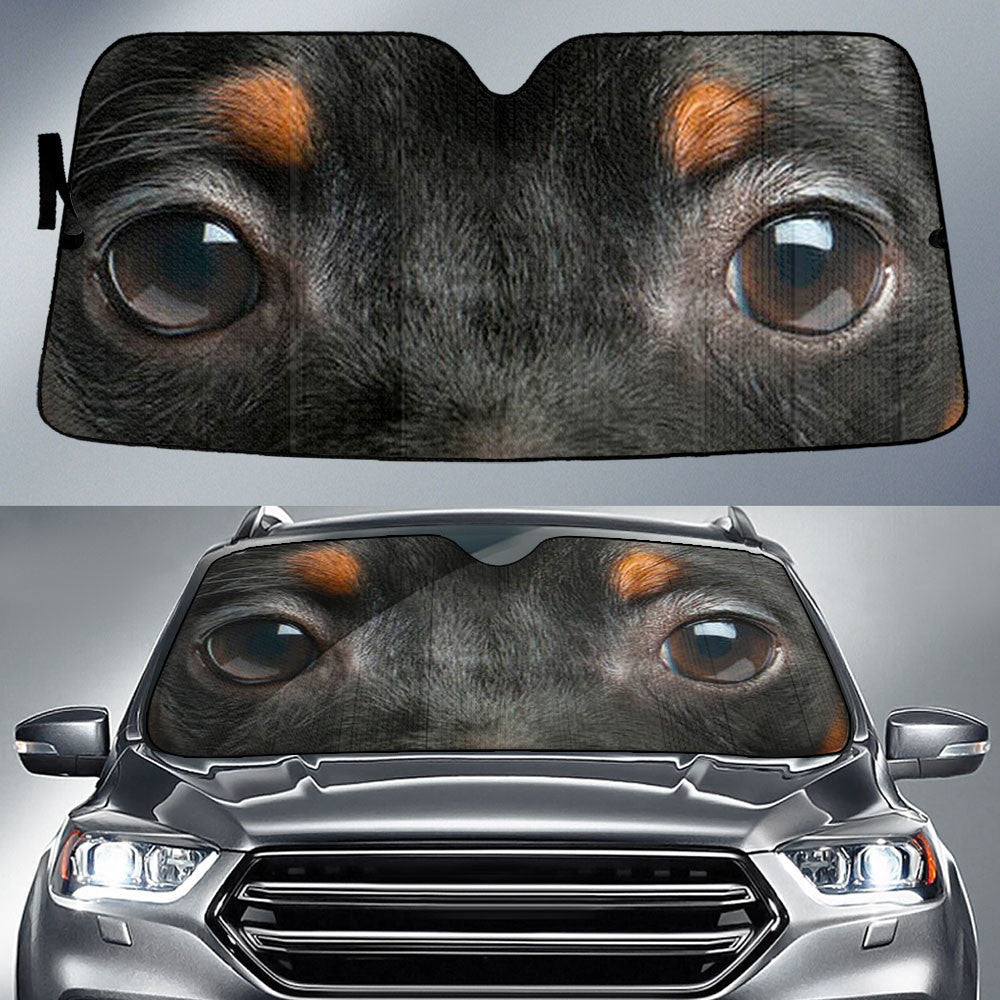 Miniature Pinscher Eyes Car Sun Shade 94