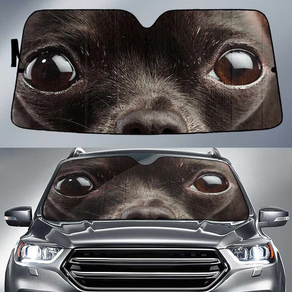 Black Dear Head Chihuahua Eyes Car Sun Shade 94