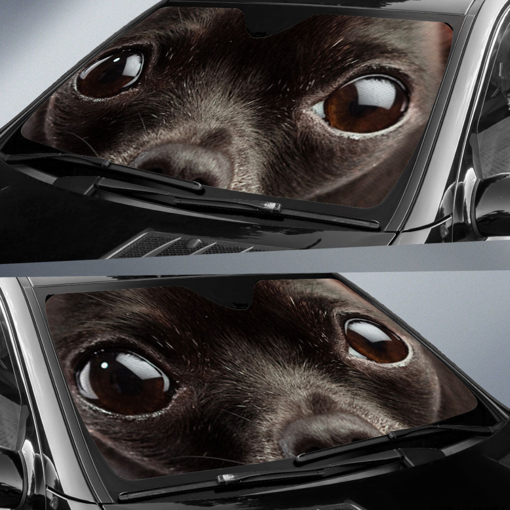 Black Dear Head Chihuahua Eyes Car Sun Shade 94