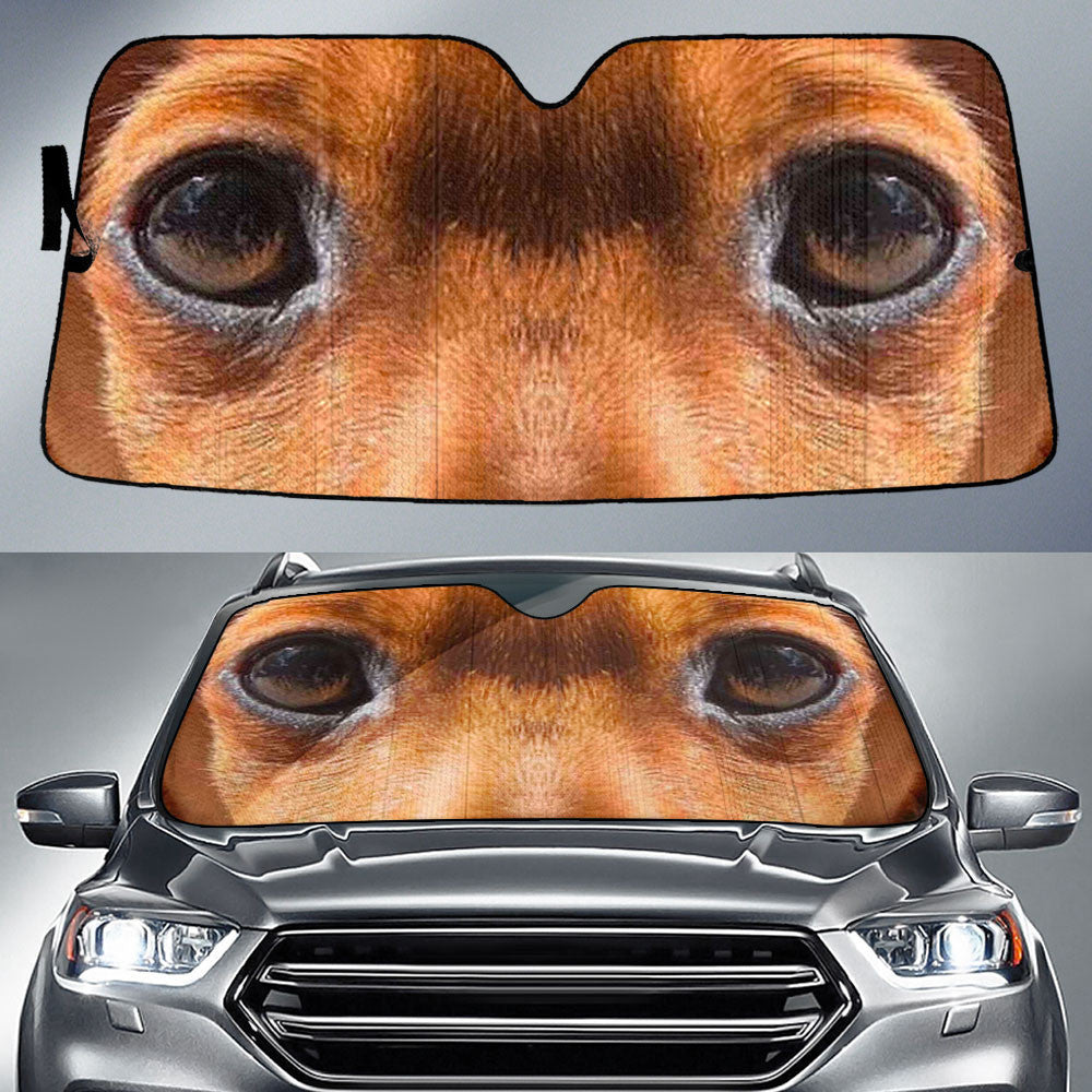 Chaweenie Eyes Car Sun Shade 94