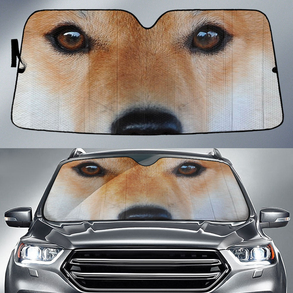 Shiba Inu Eyes Car Sun Shade 94