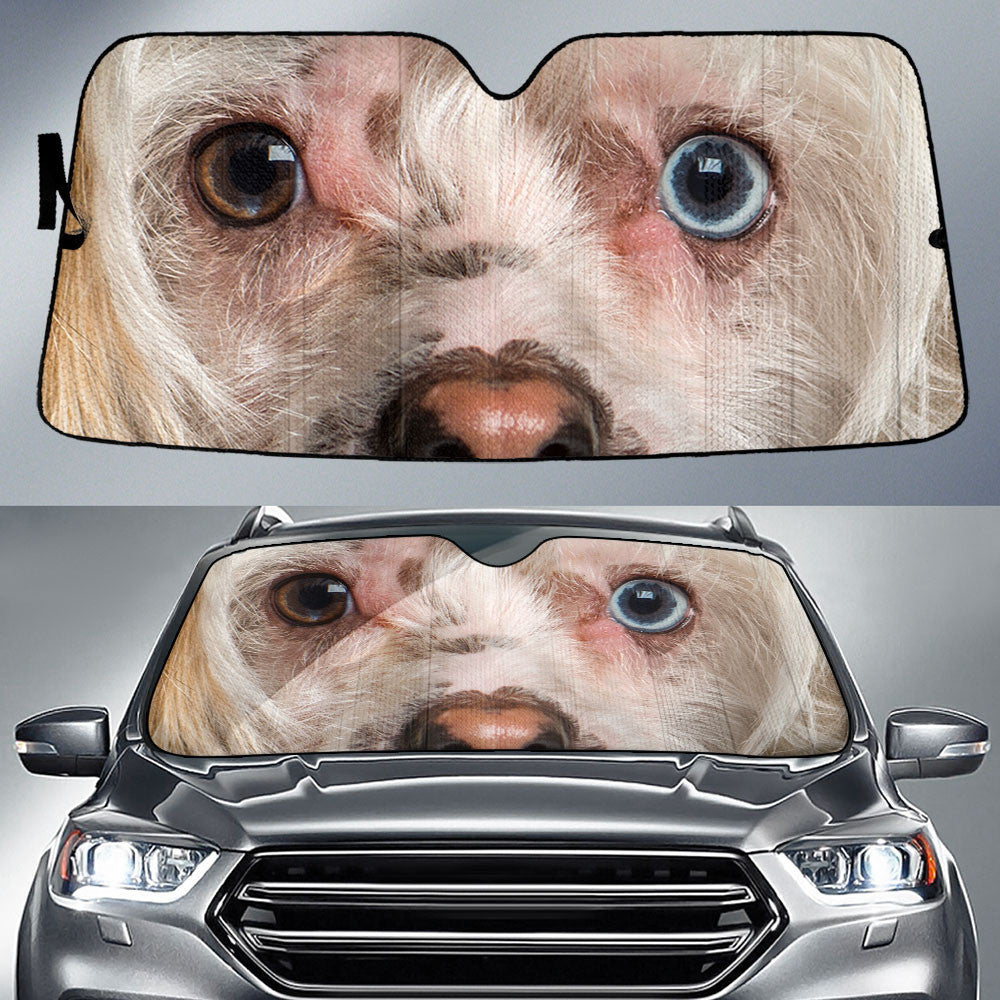 Hairless Chinese Crested Eyes Car Sun Shade 94
