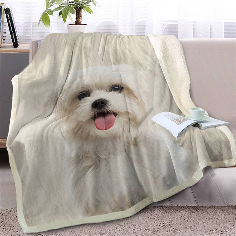 Havanese Face Blanket