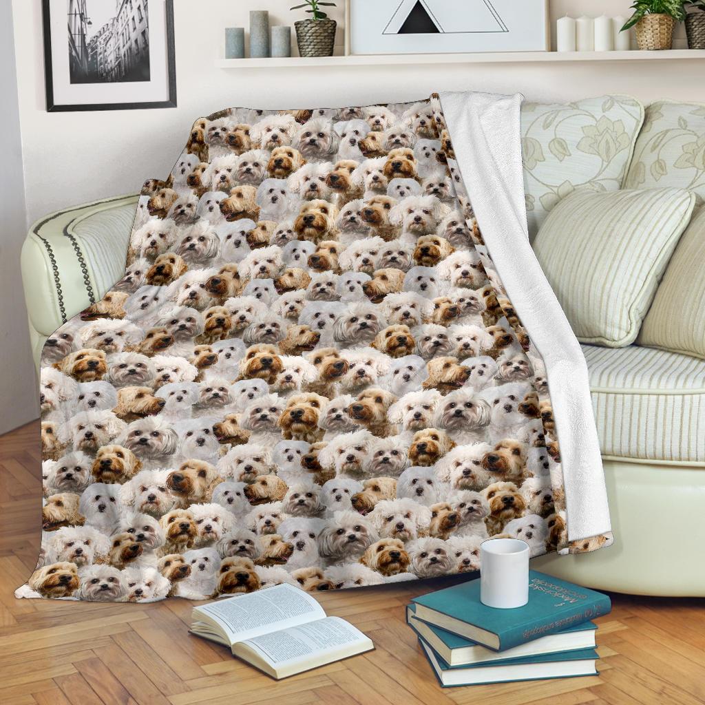 Bolognese Dog Full Face Blanket