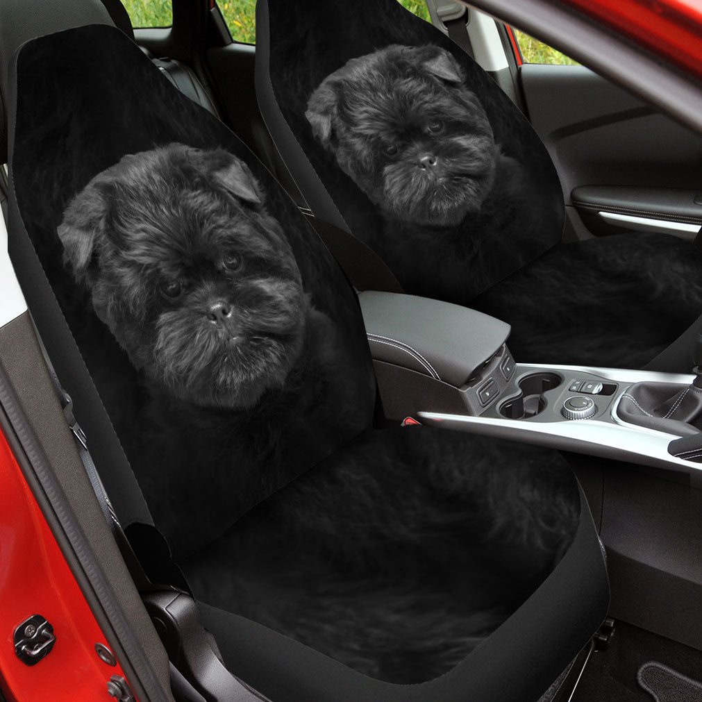Affenpinscher Funny Face Car Seat Covers 120