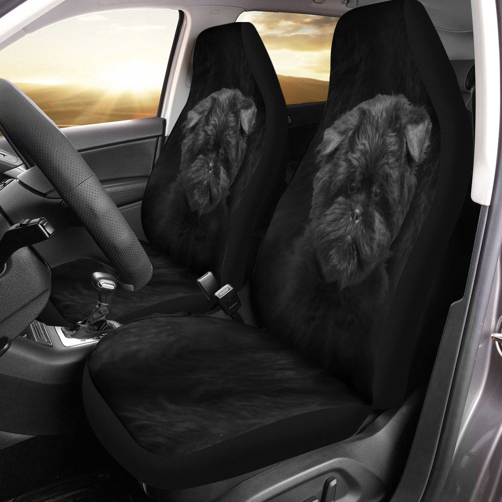 Affenpinscher Funny Face Car Seat Covers 120