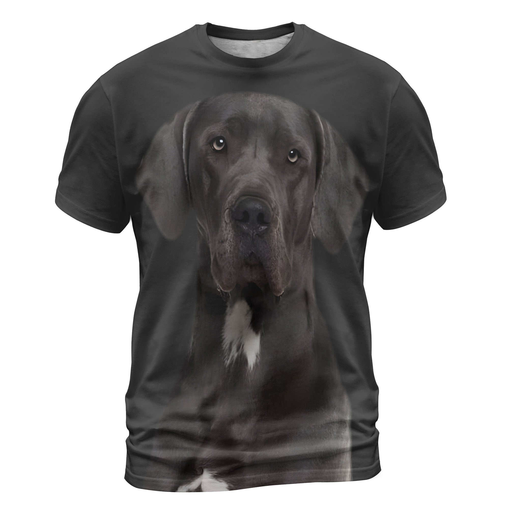 Great Dane 2 - 3D Graphic T-Shirt
