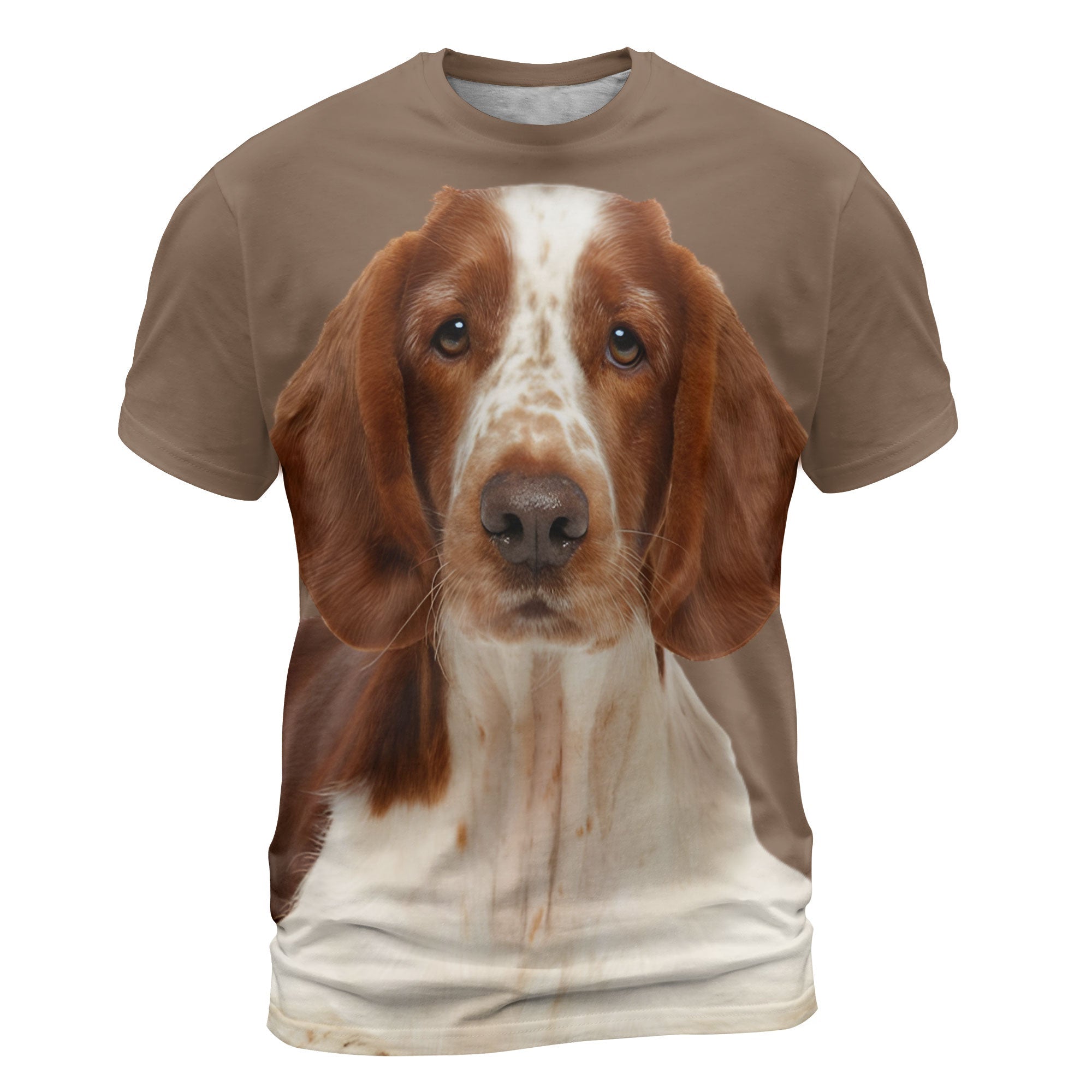 Welsh Springer Spaniel Sit - 3D Graphic T-Shirt