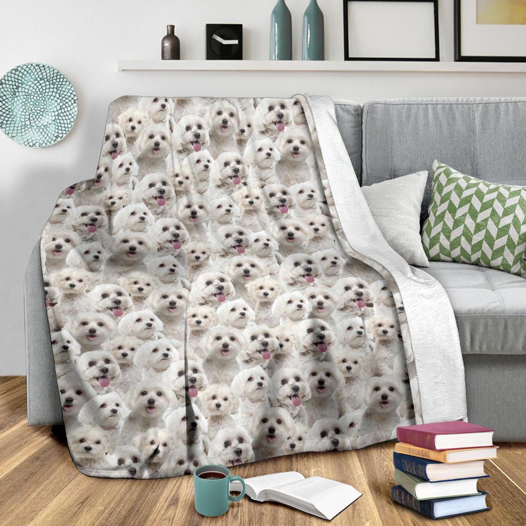 Maltese Full Face Blanket