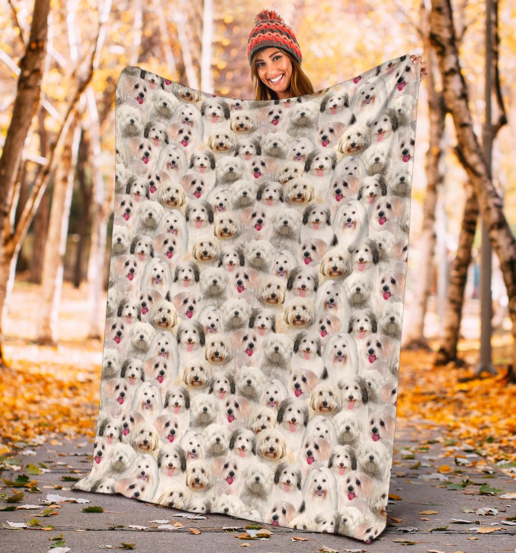 Coton De Tulear Full Face Blanket
