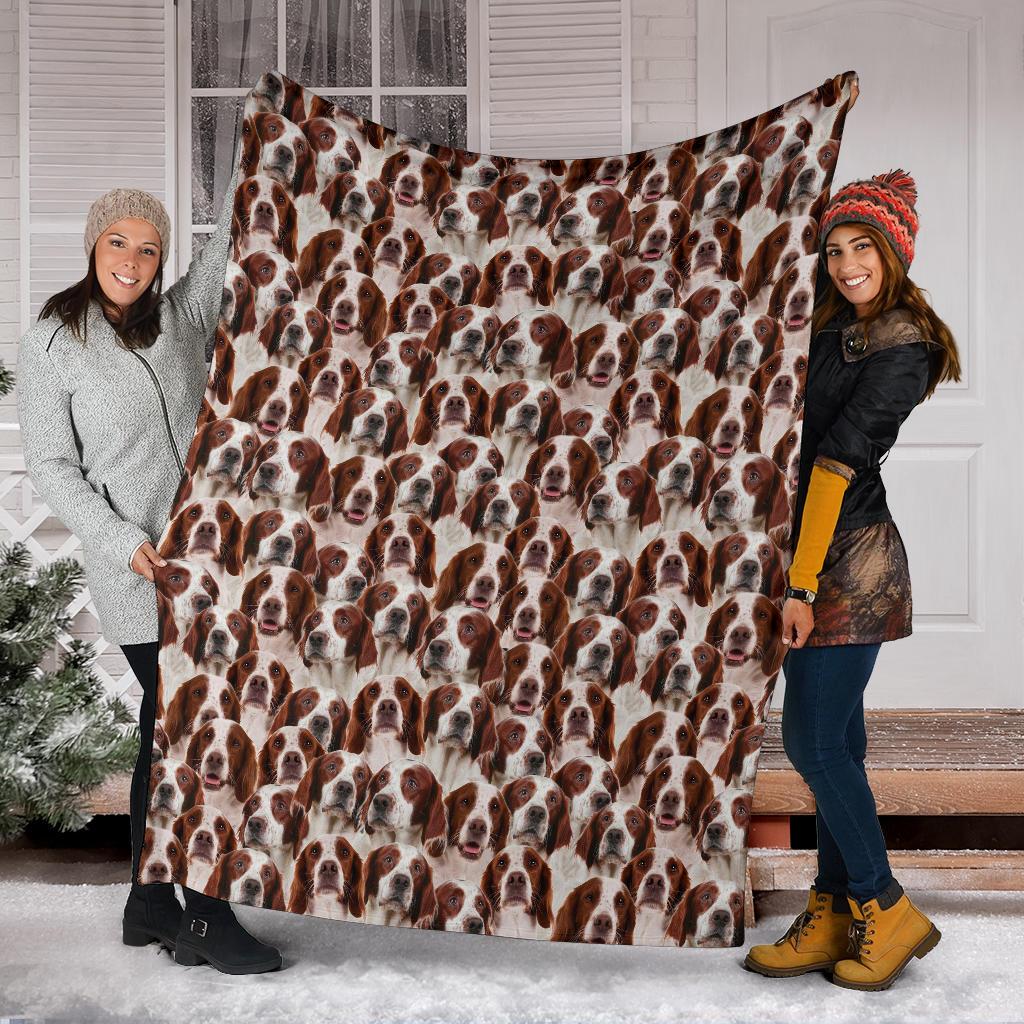 Irish Red And White Setter Full Face Blanket