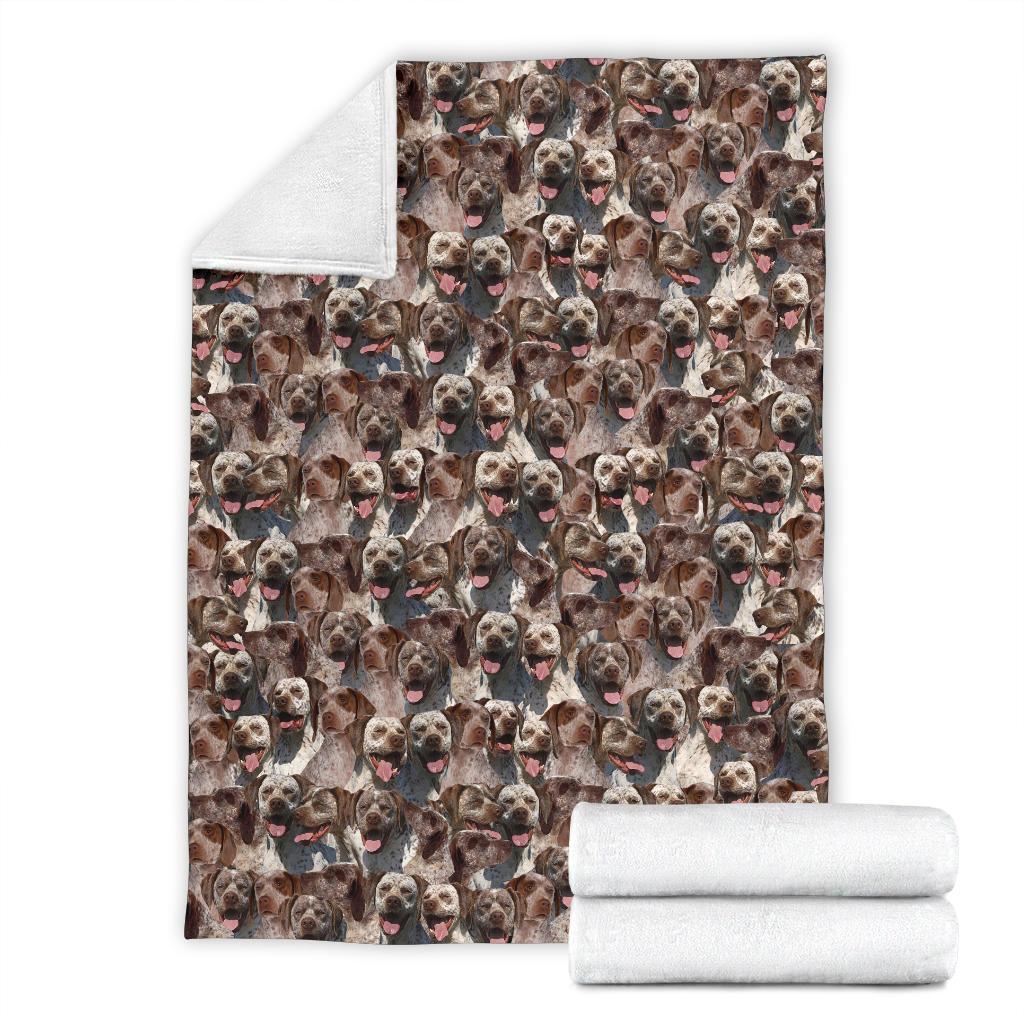 Braque Du Bourbonnais Full Face Blanket