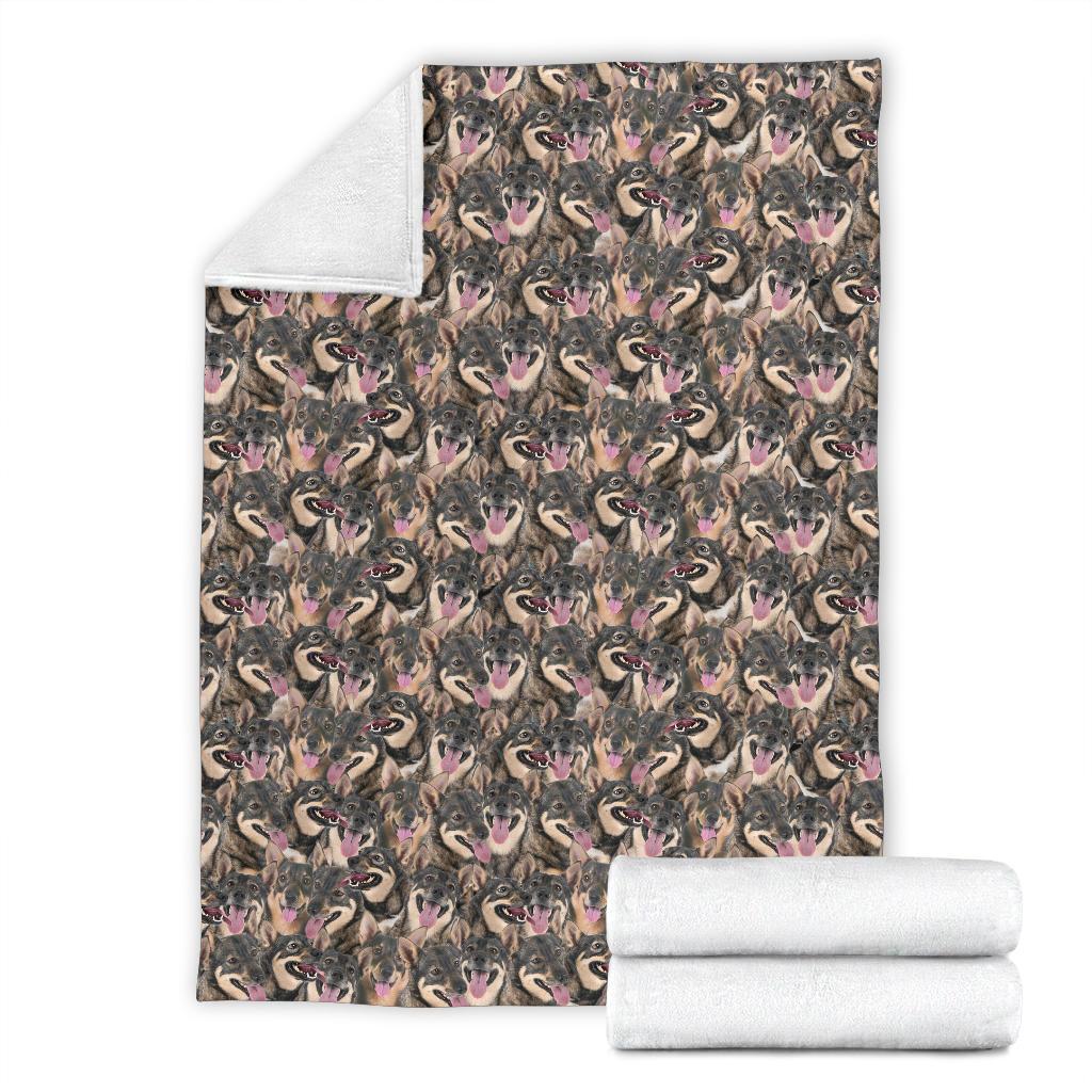 Swedish Vallhund Full Face Blanket