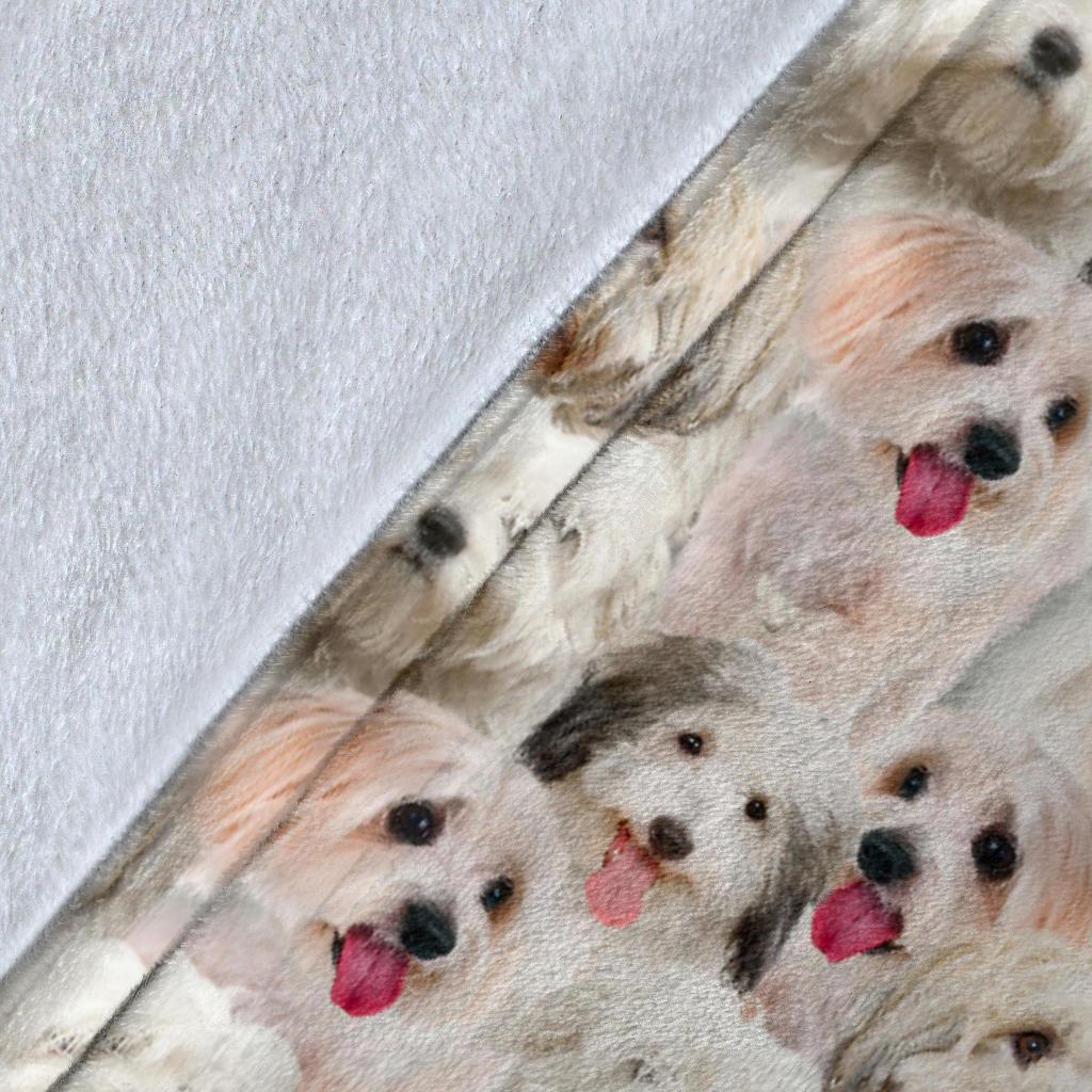 Coton De Tulear Full Face Blanket