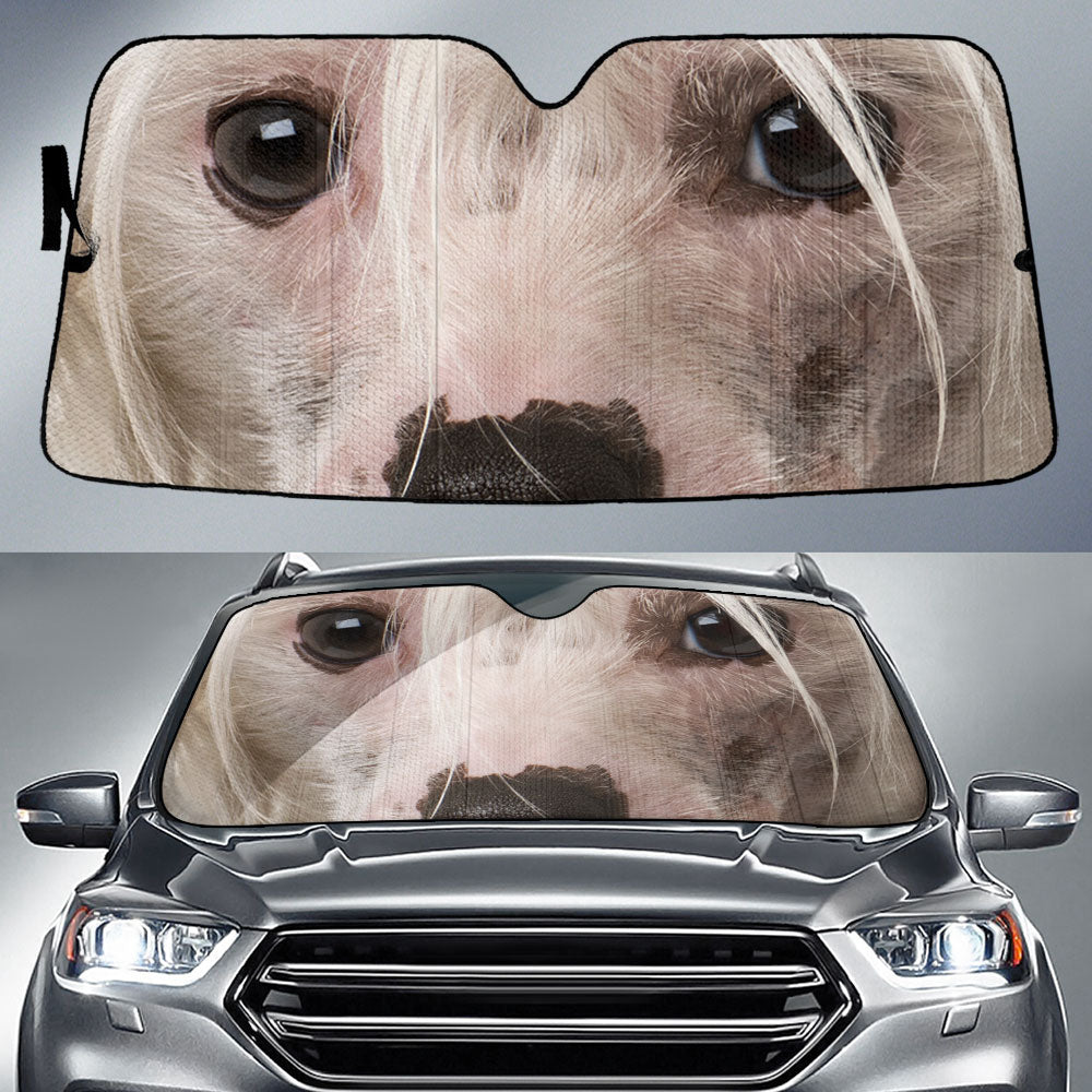 Chinese Crested Eyes Car Sun Shade 94