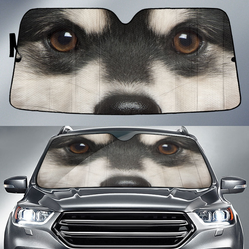 Finnish Lapphund Eyes Car Sun Shade 94