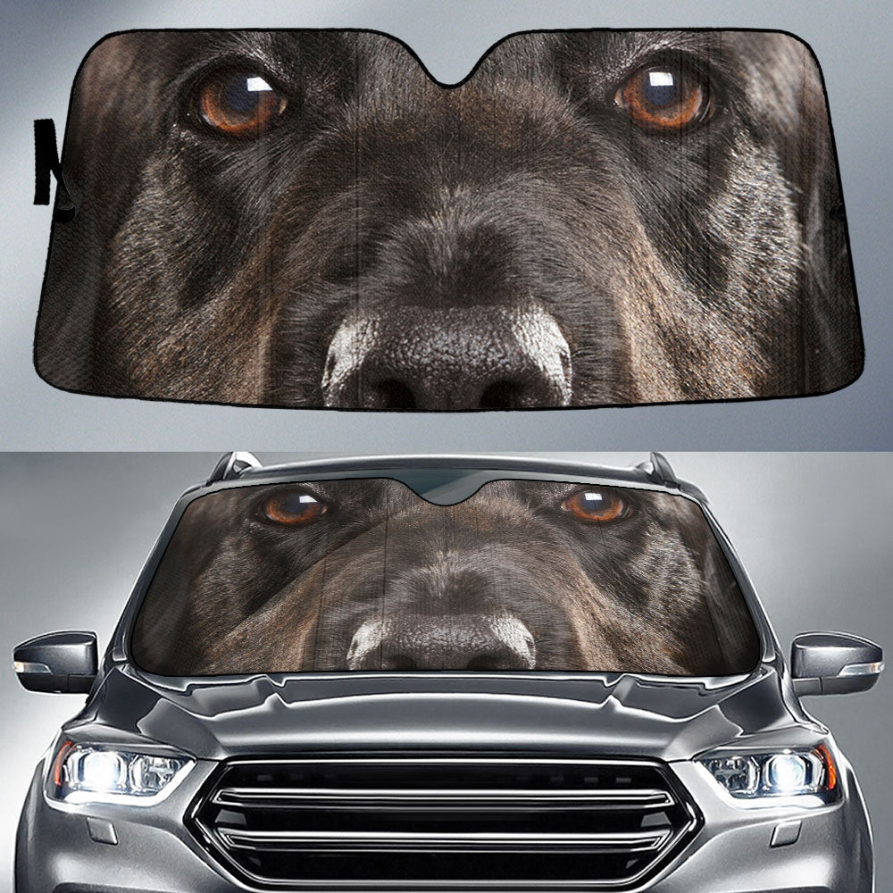 Flat Coated Retriever Eyes Car Sun Shade 94