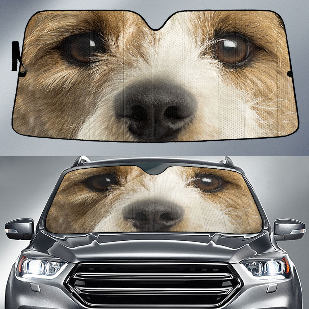 Fox Terrier Eyes Car Sun Shade 94